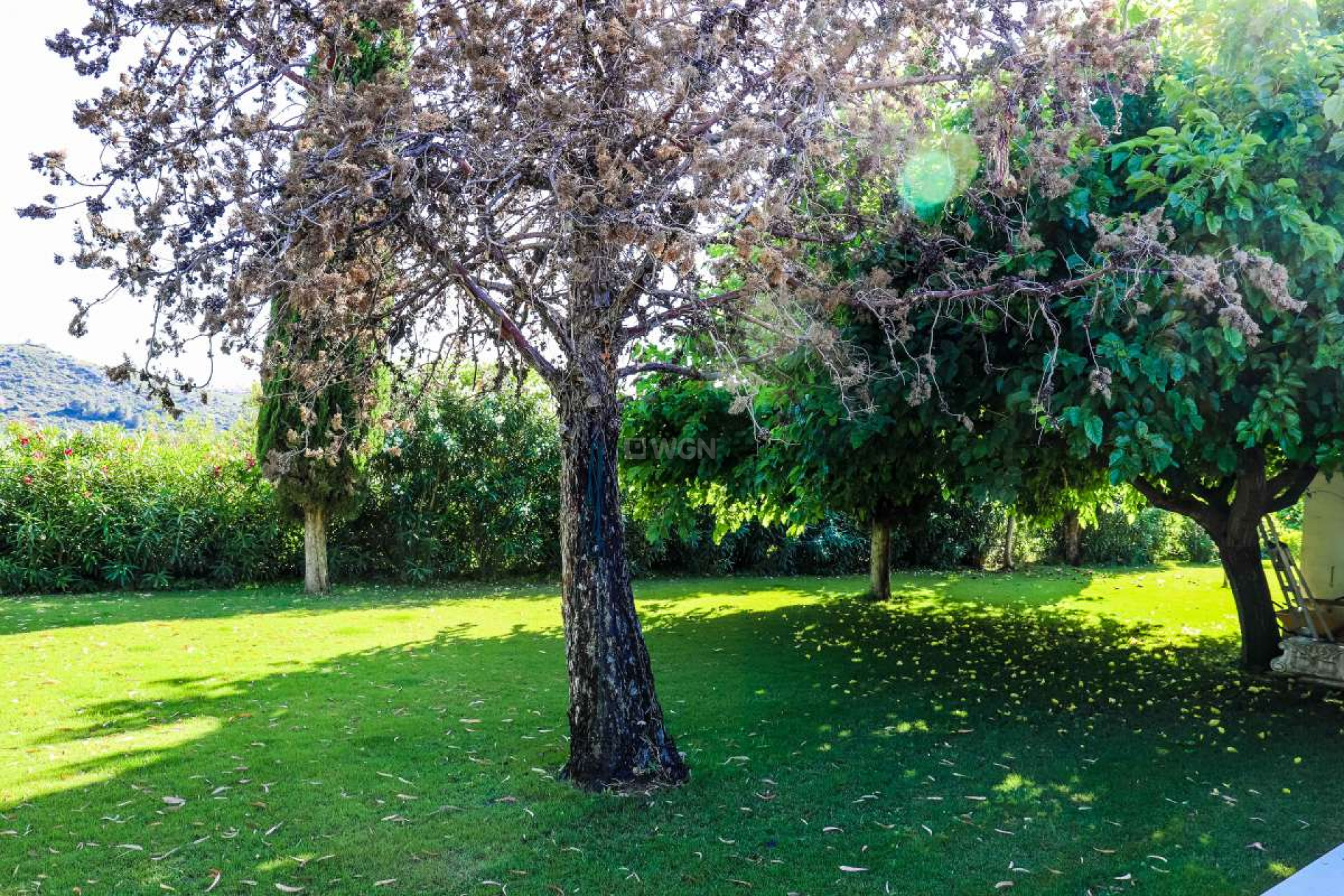 Resale - Villa - Jesus Pobre - Inland