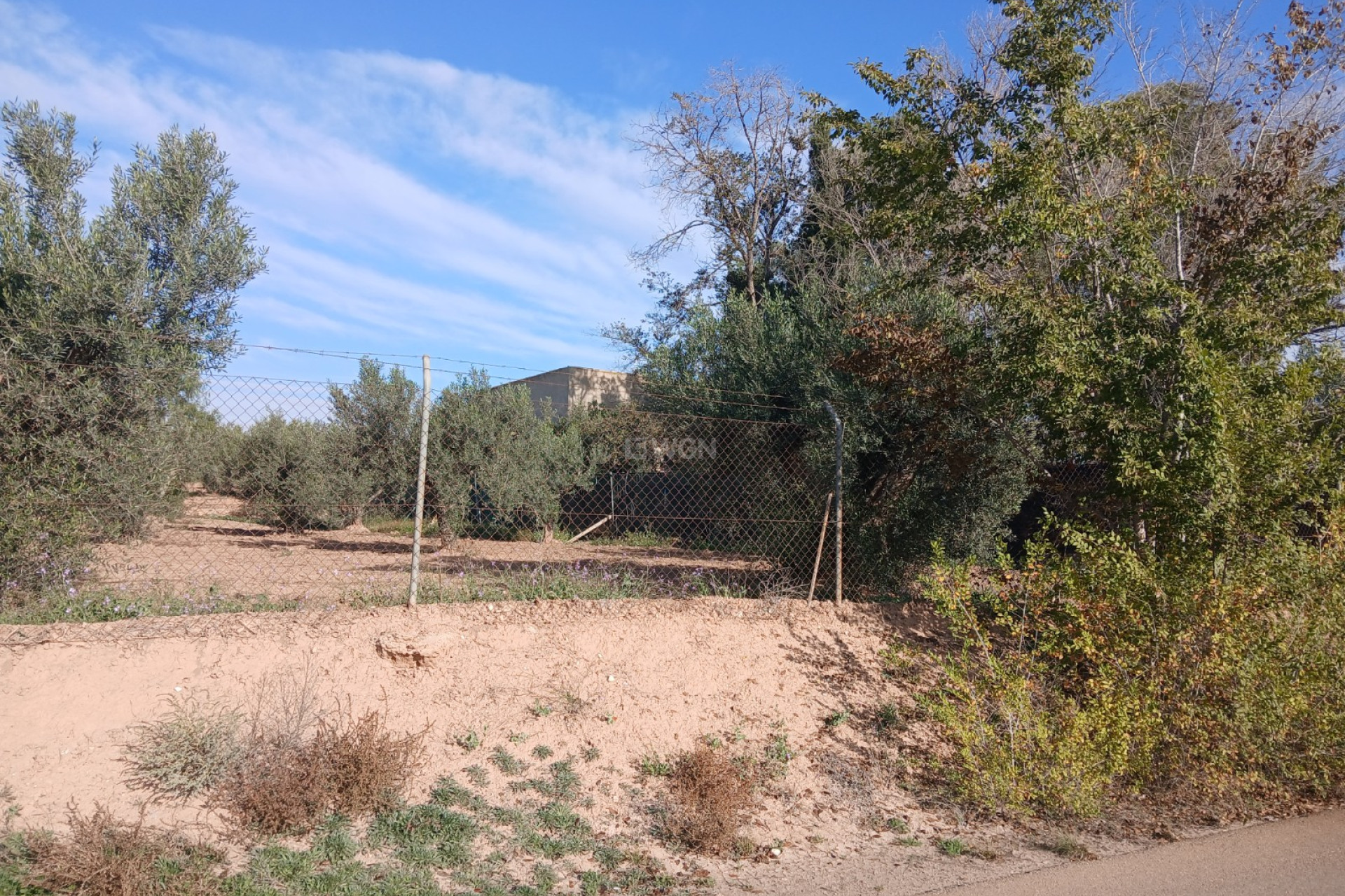Resale - Villa - Jumilla - Inland