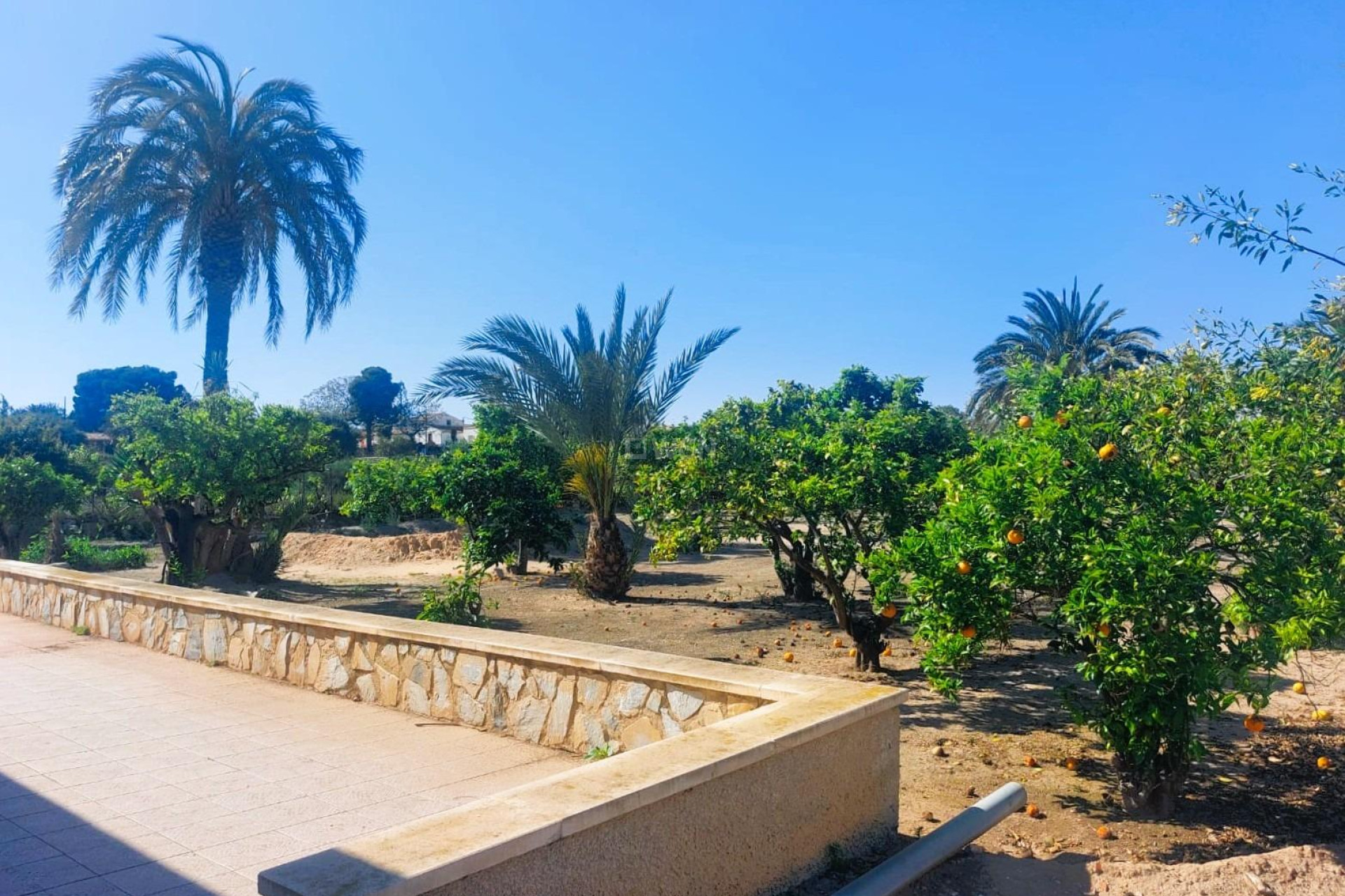 Resale - Villa - La Marina - Costa Blanca