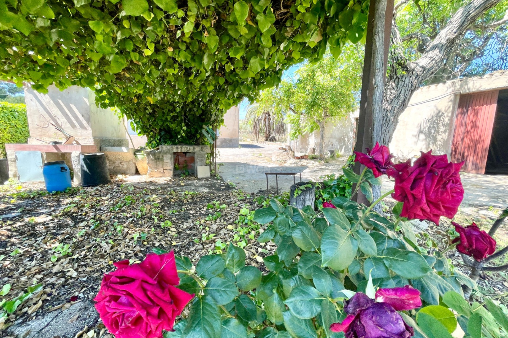 Resale - Villa - La Romana - Inland