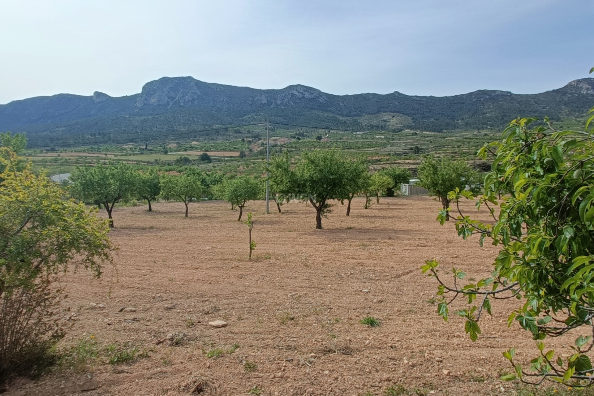 Resale - Villa - La Romana - Inland