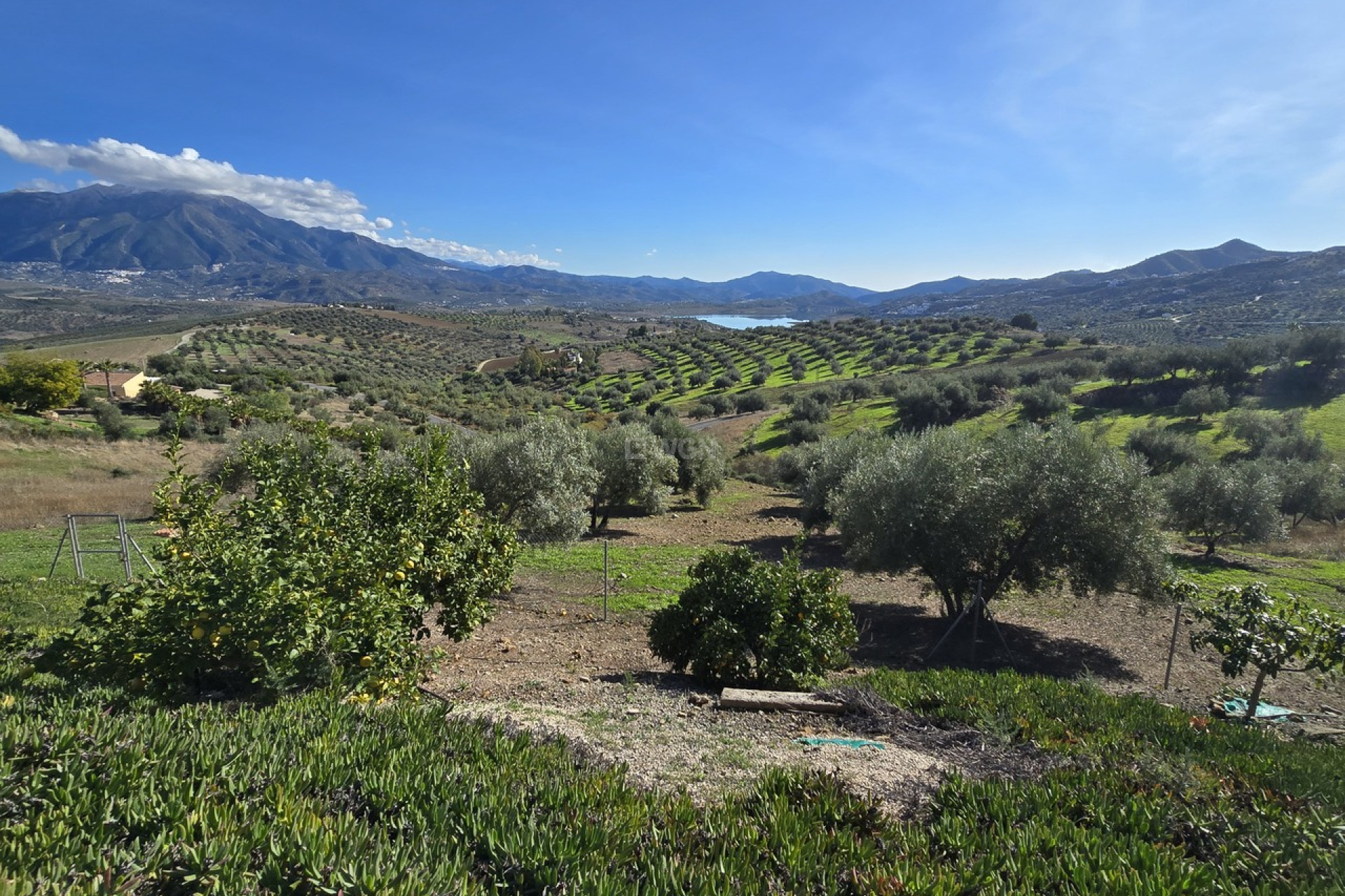 Resale - Villa - La Vinuela - Inland