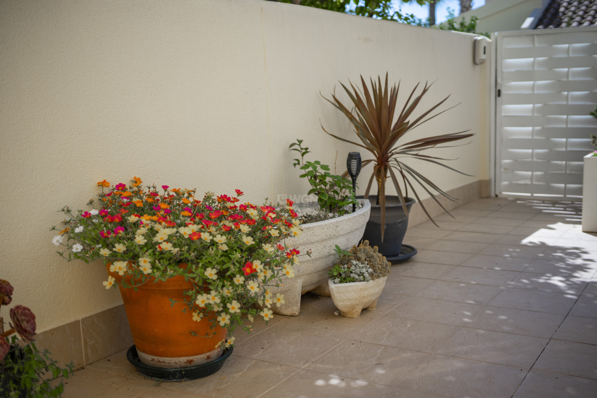 Resale - Villa - Las Ramblas Golf - Calle Mayor