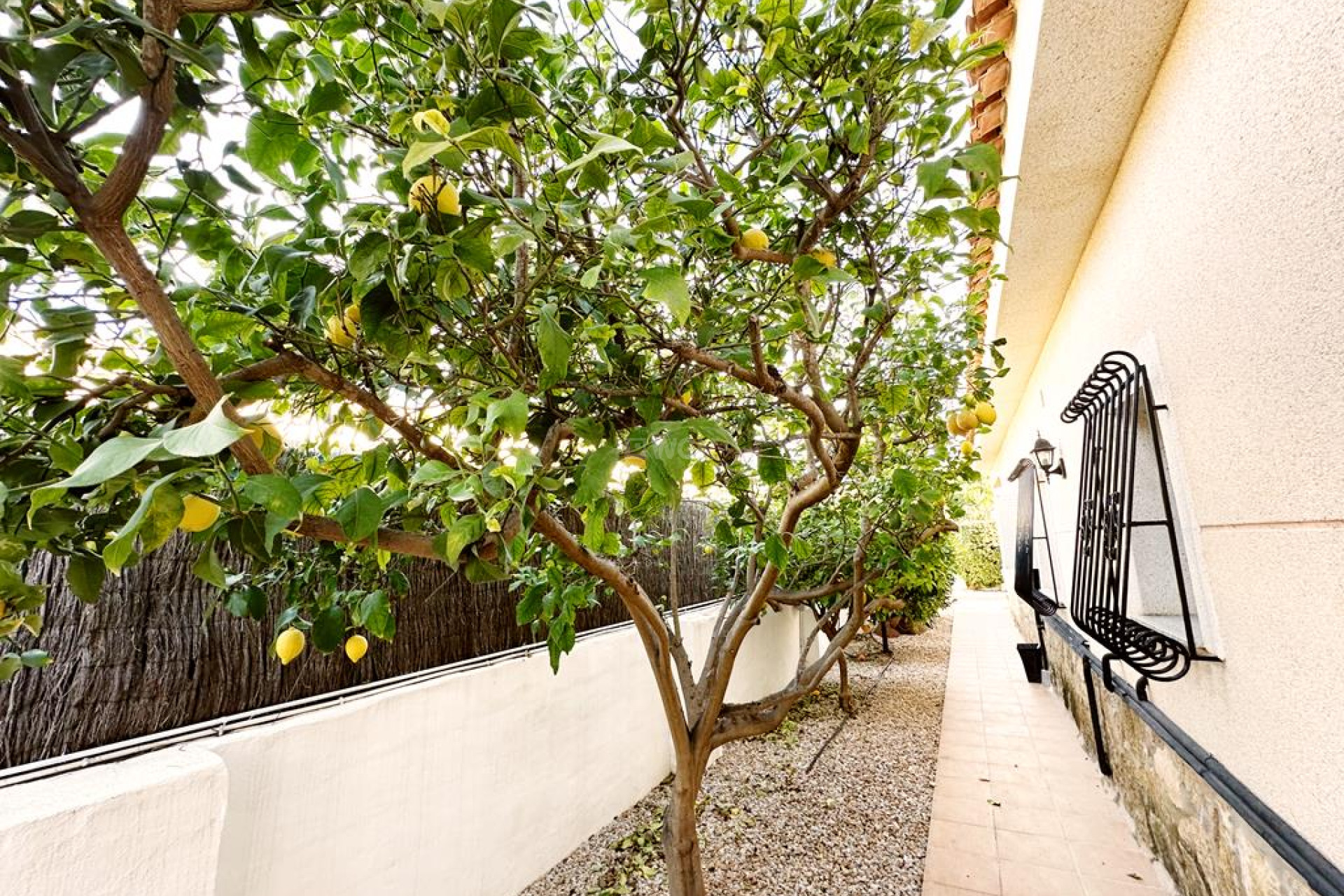 Resale - Villa - Lo Santiago - Inland