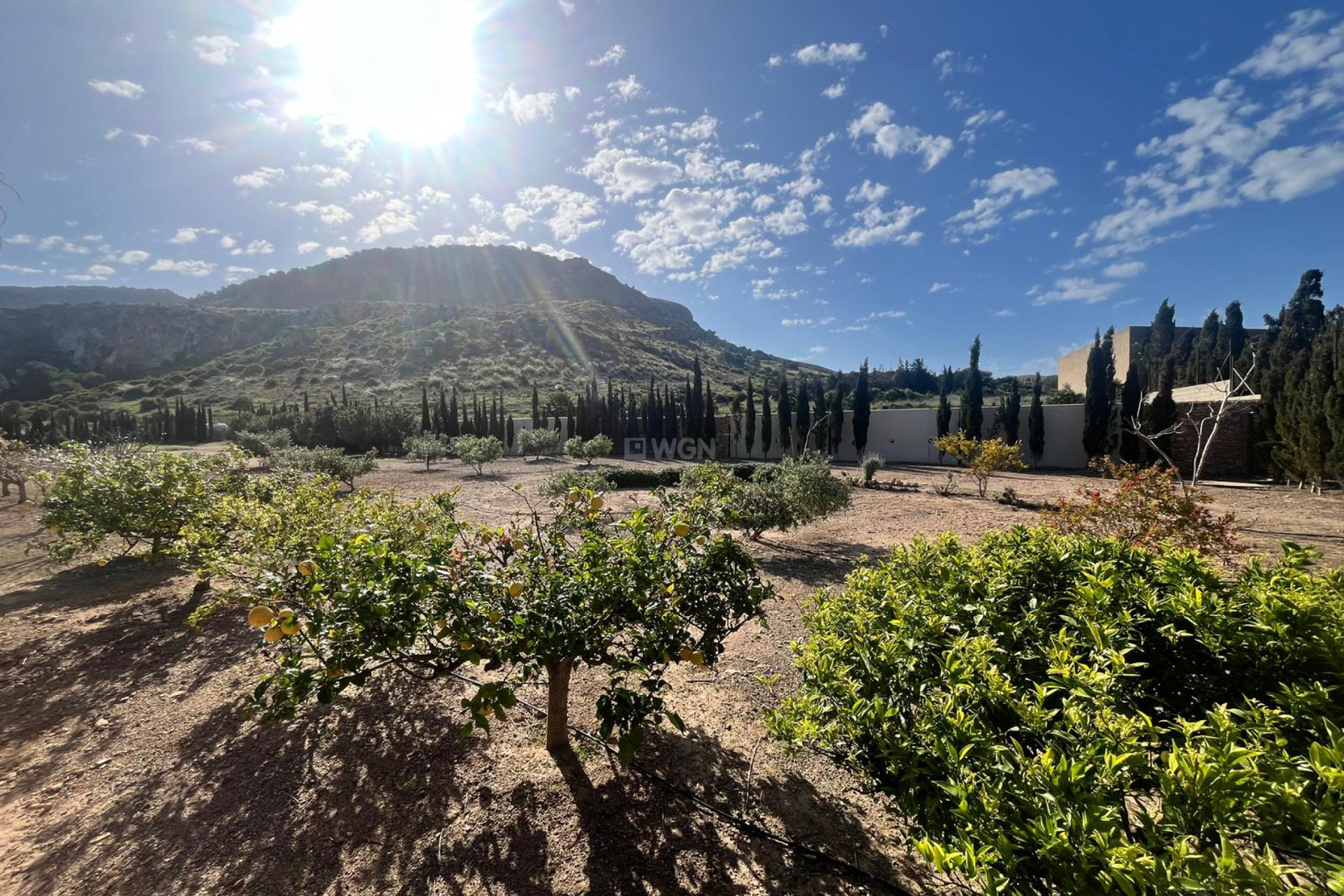 Resale - Villa - Los Belones - Inland