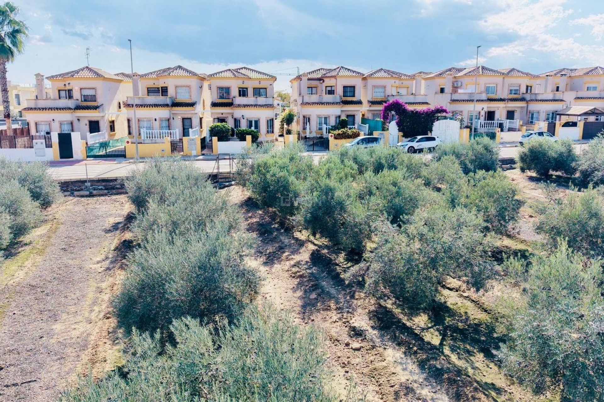 Resale - Villa - Los Montesinos - Costa Blanca