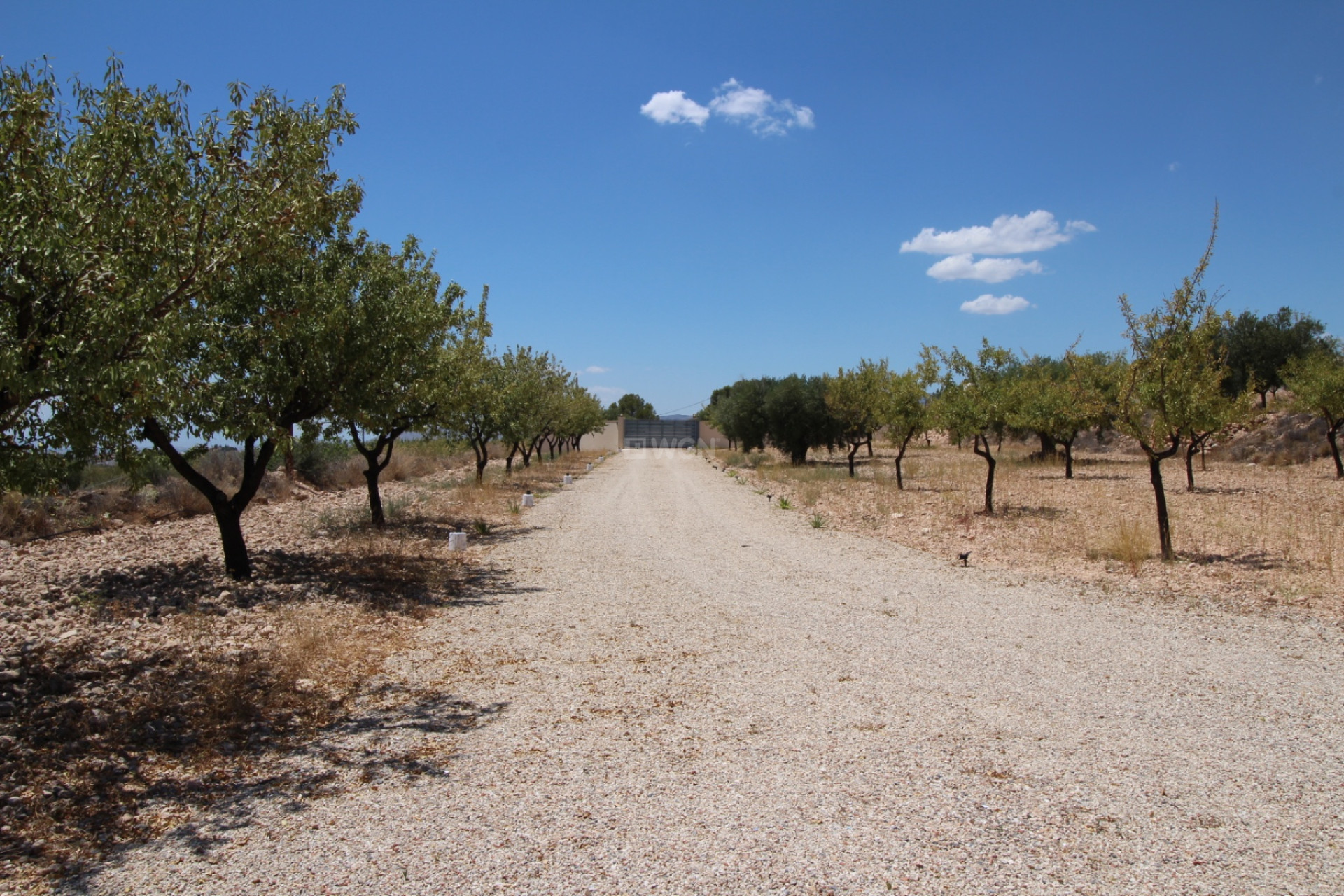 Resale - Villa - Macisvenda - Inland