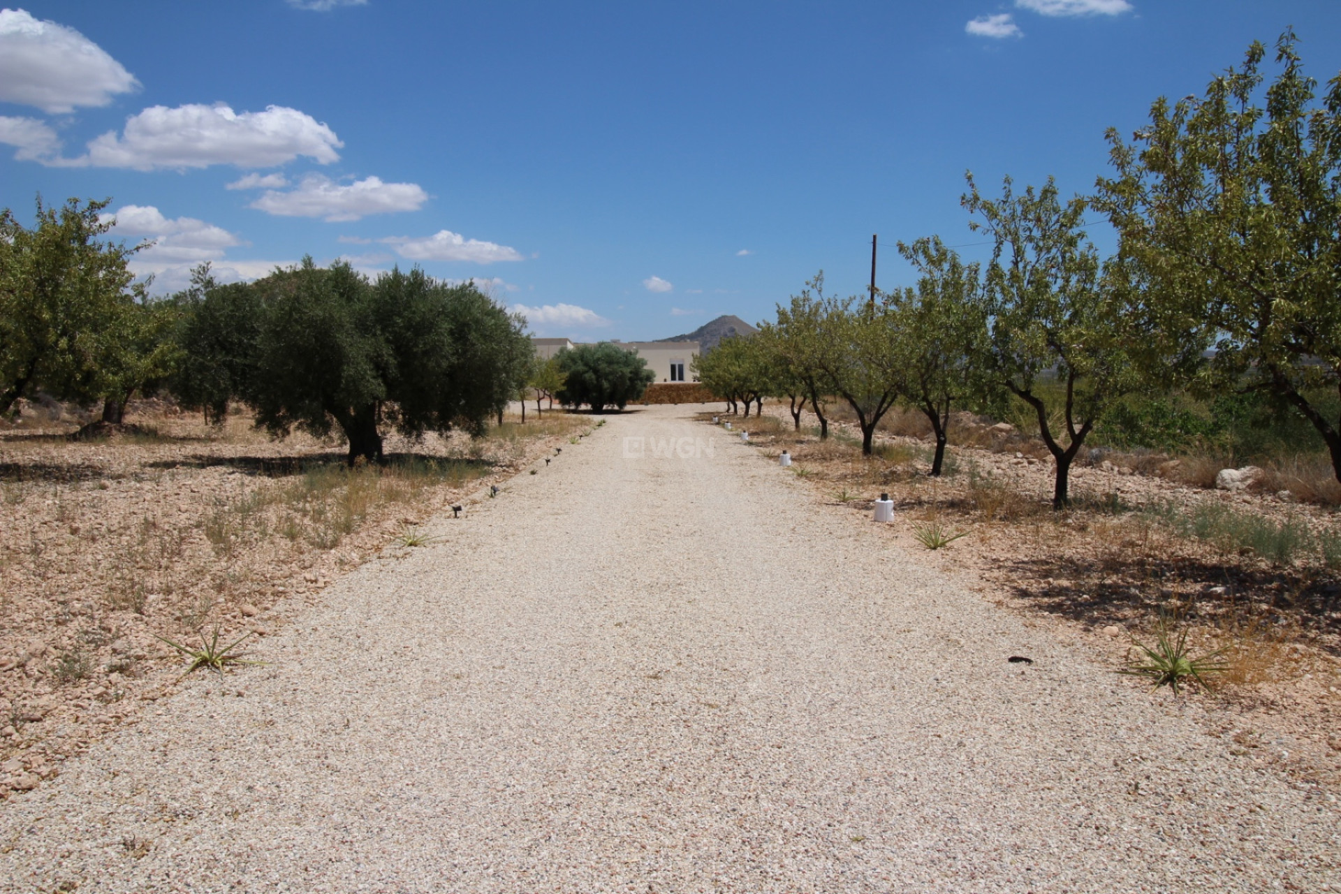 Resale - Villa - Macisvenda - Inland