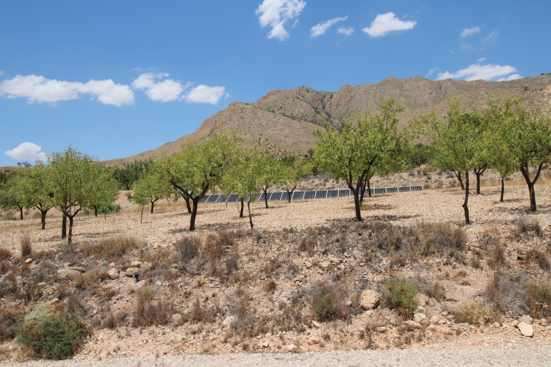 Resale - Villa - Macisvenda - Inland