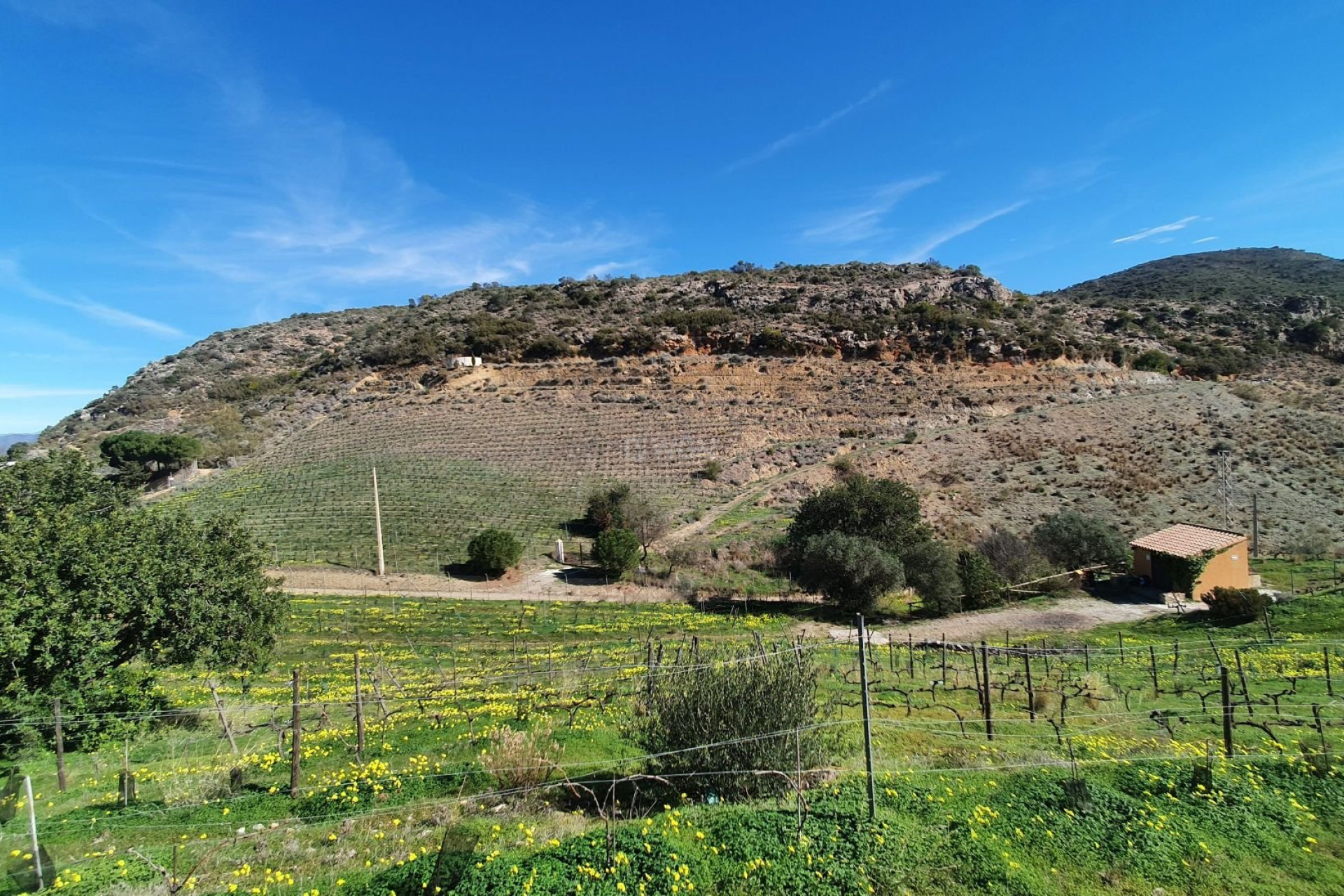 Resale - Villa - Málaga - Costa del Sol