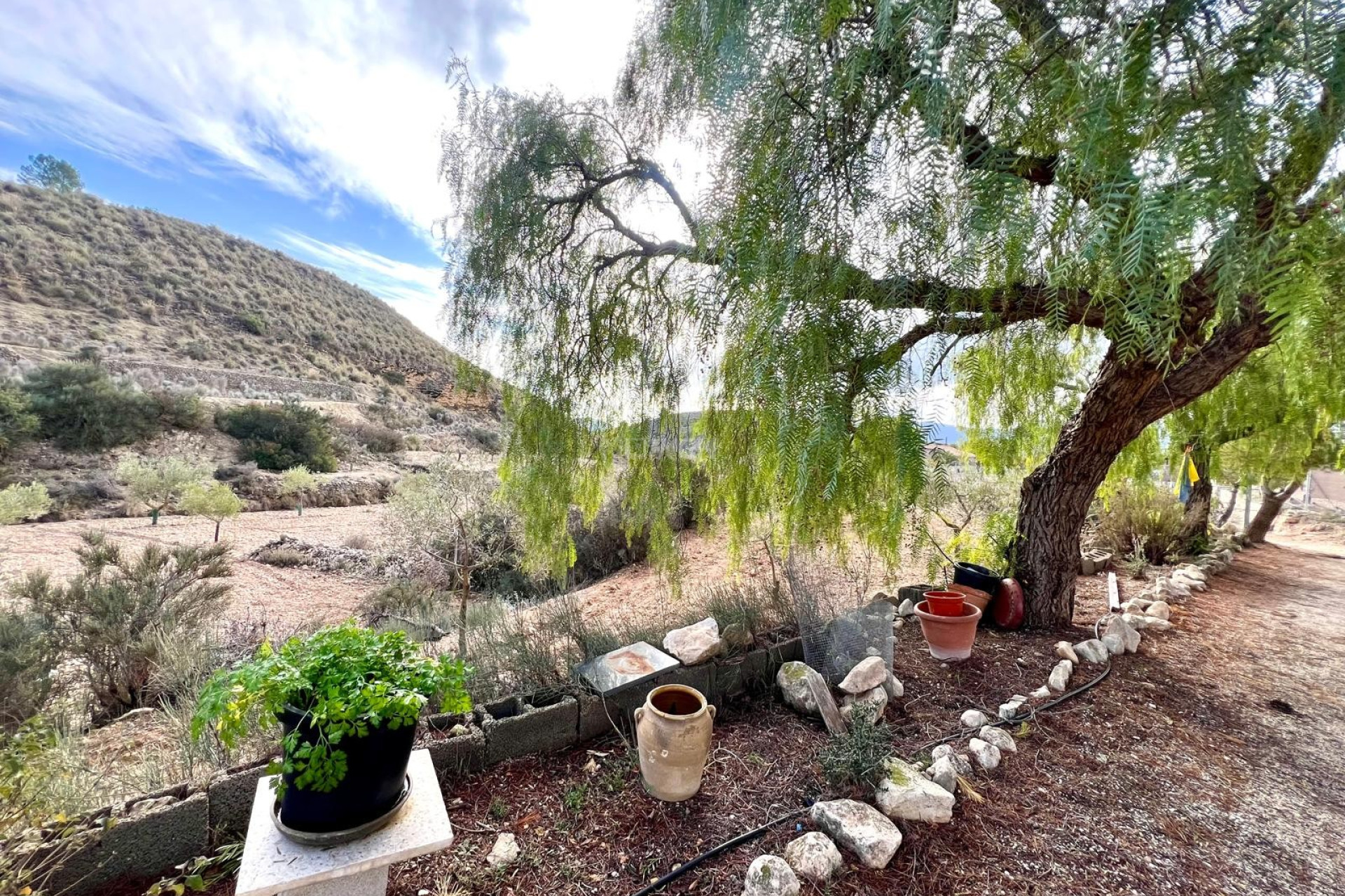 Resale - Villa - Monóvar/Monóver - Inland