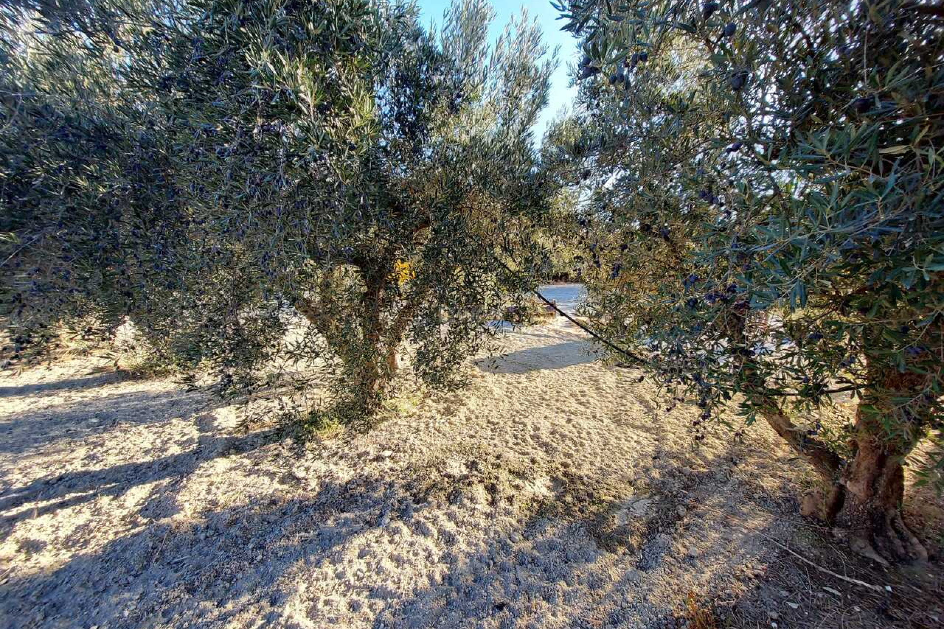 Resale - Villa - Murcia - Inland