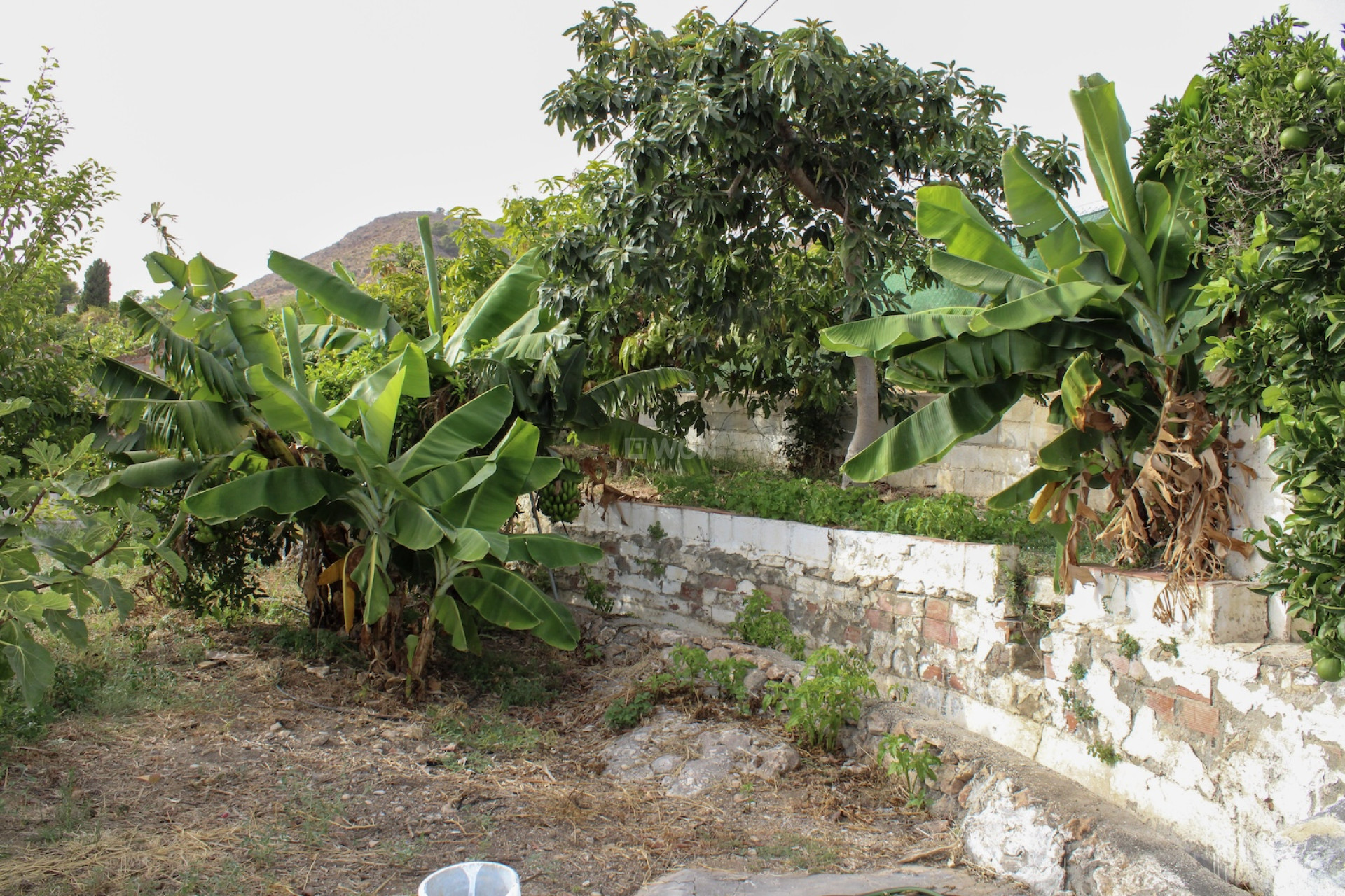 Resale - Villa - Nerja - Costa del Sol