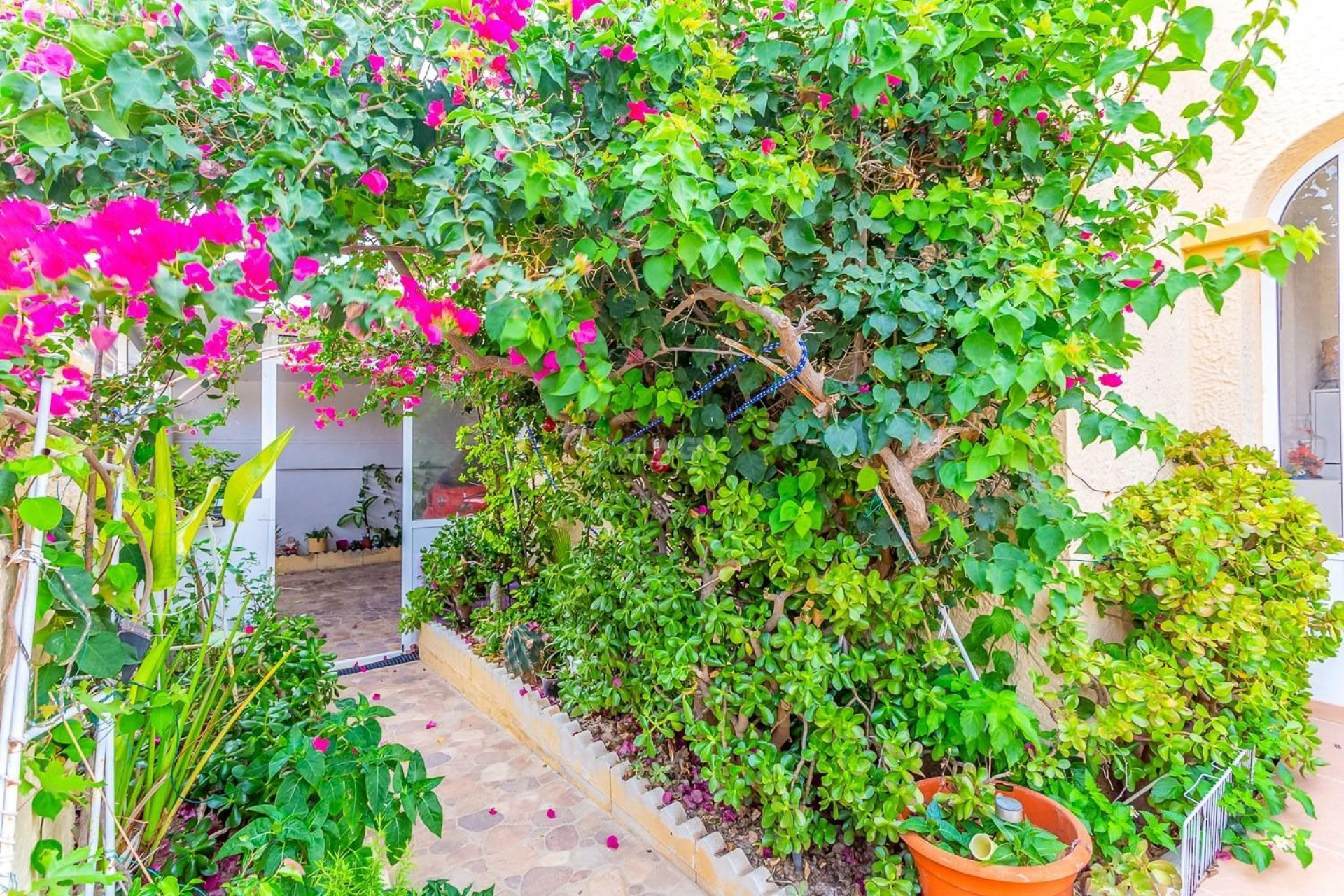 Resale - Villa - Orihuela Costa - Costa Blanca