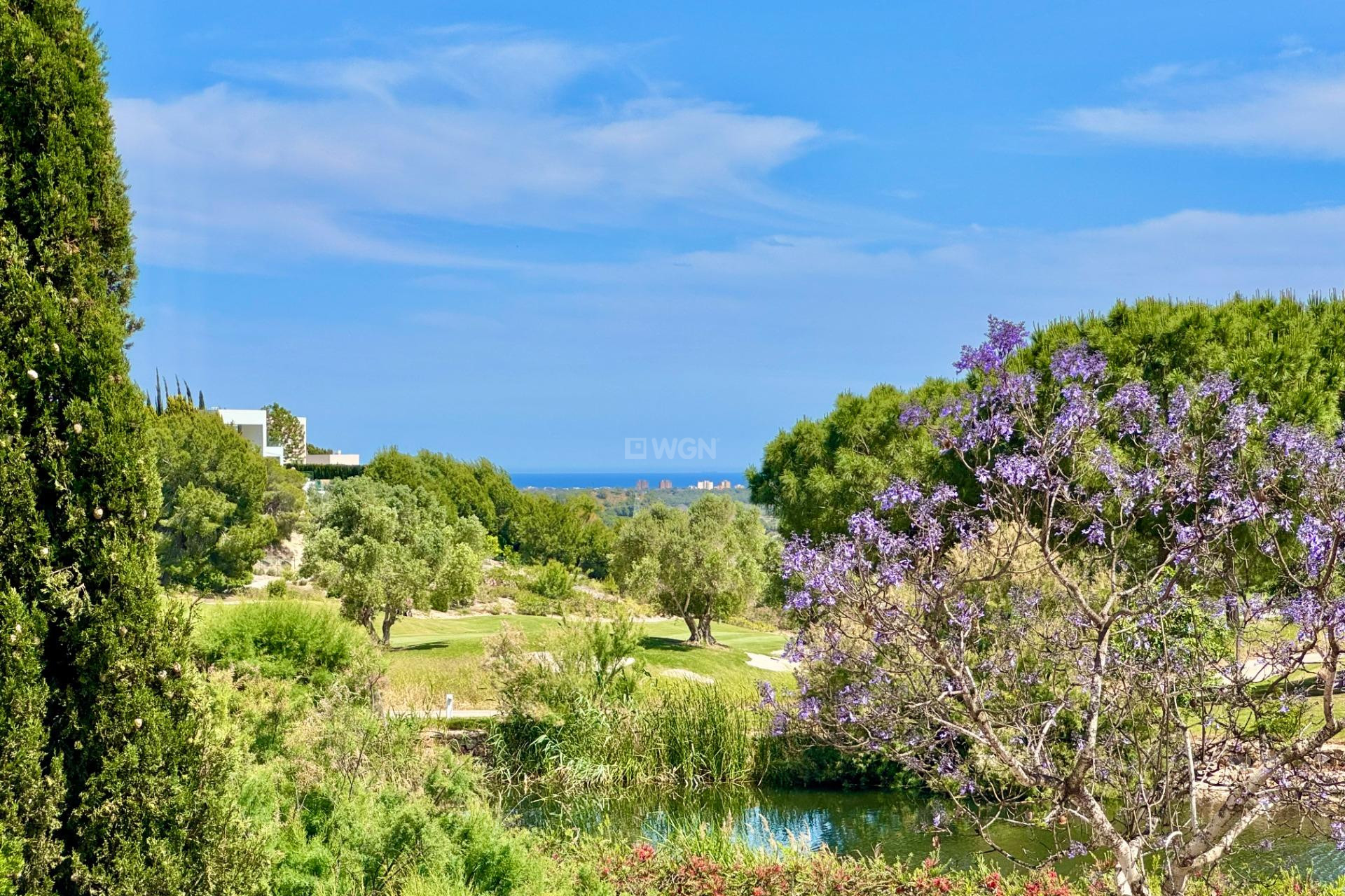 Resale - Villa - Orihuela - Las Colinas Golf