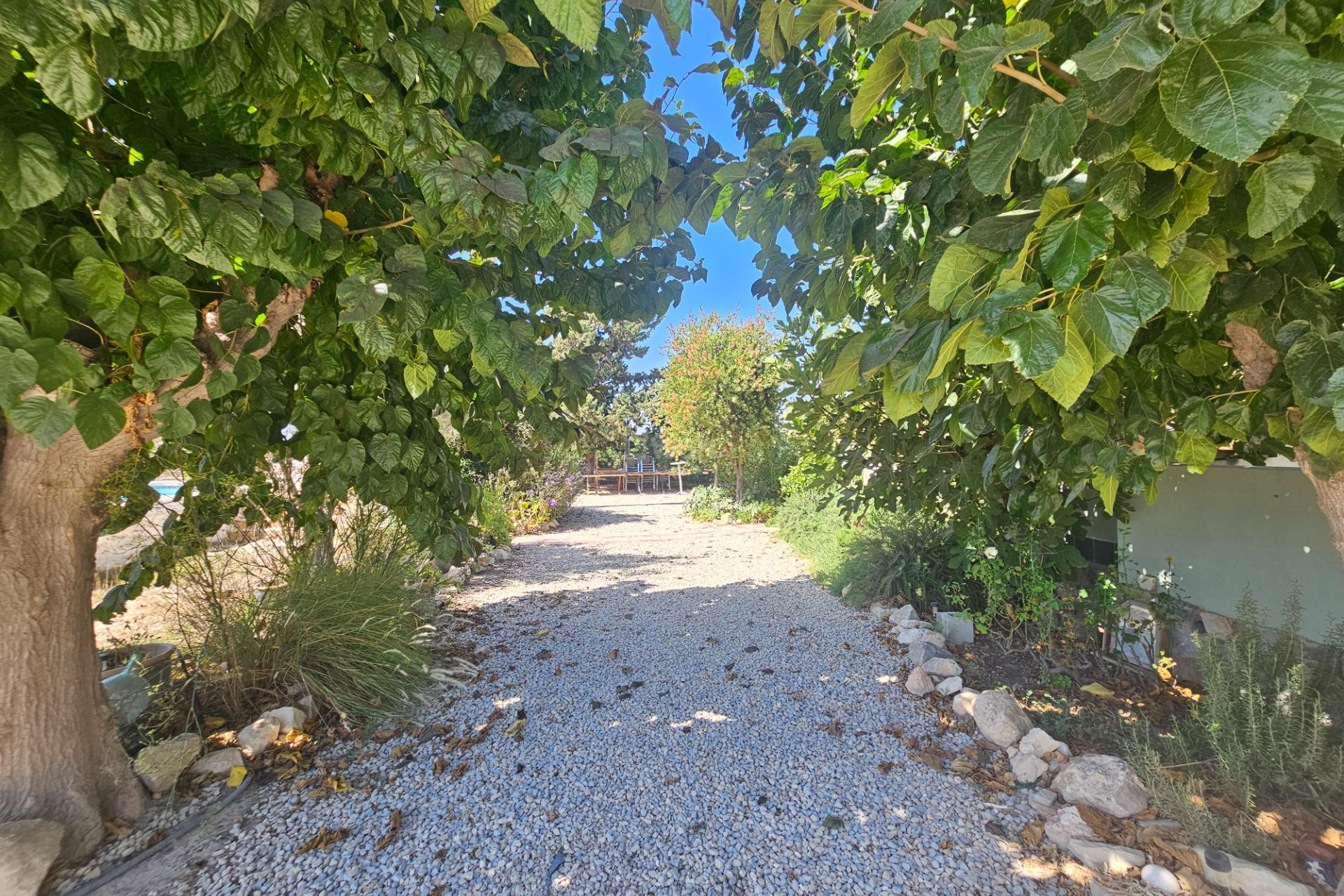 Resale - Villa - Orihuela - Molins-campaneta-san Bartolomé