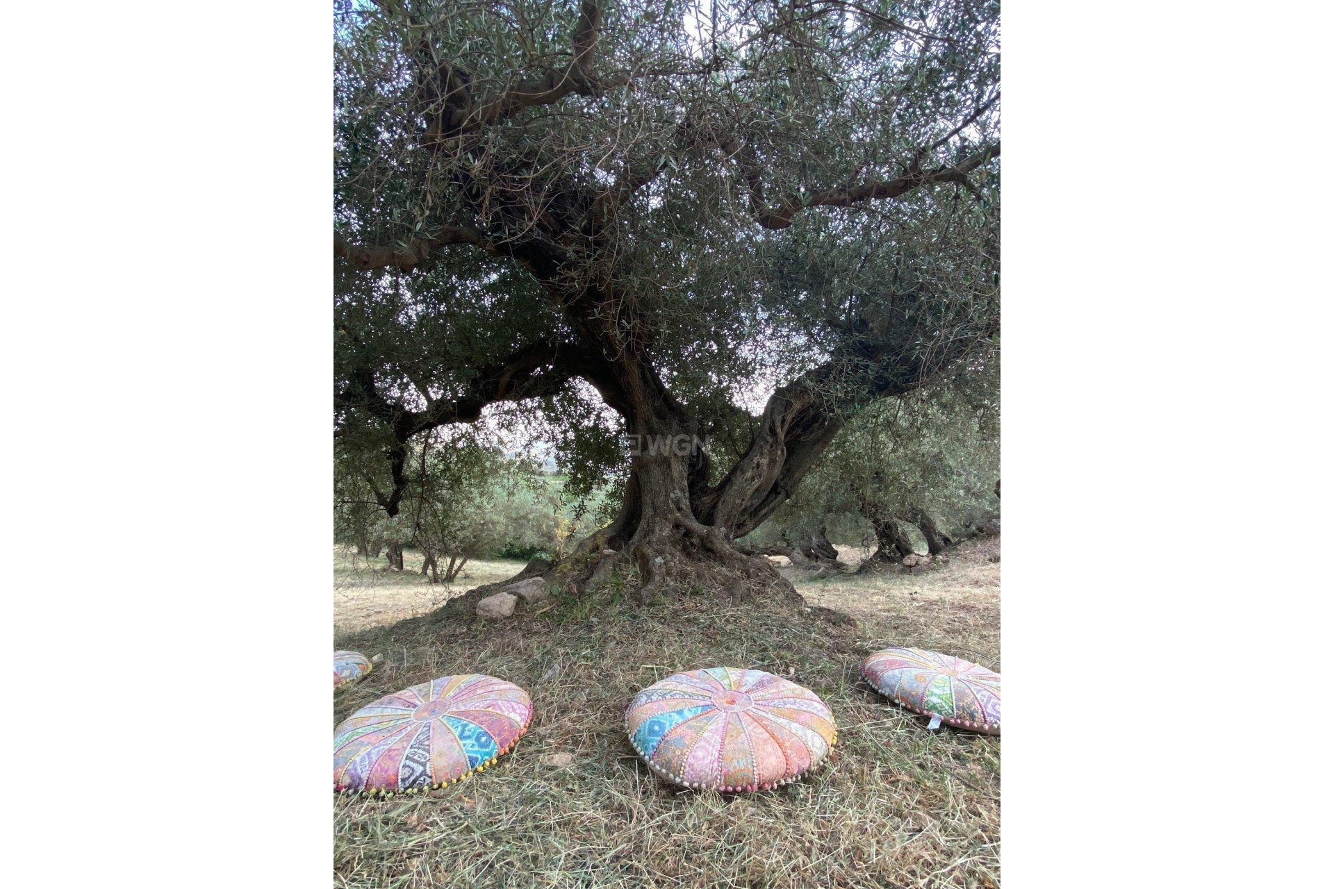 Resale - Villa - Periana - Inland