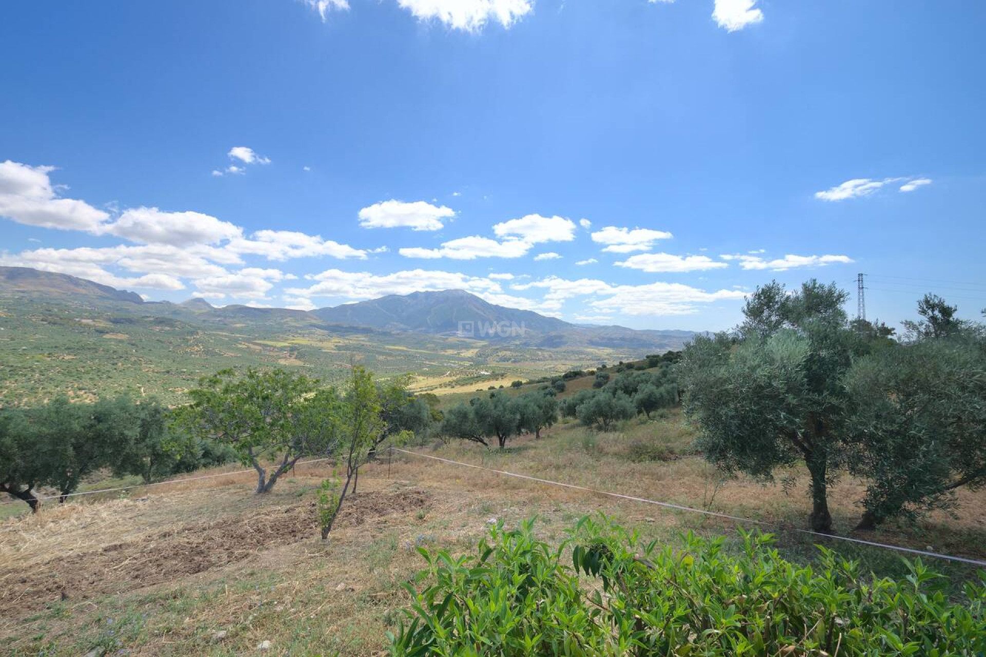 Resale - Villa - Periana - Inland