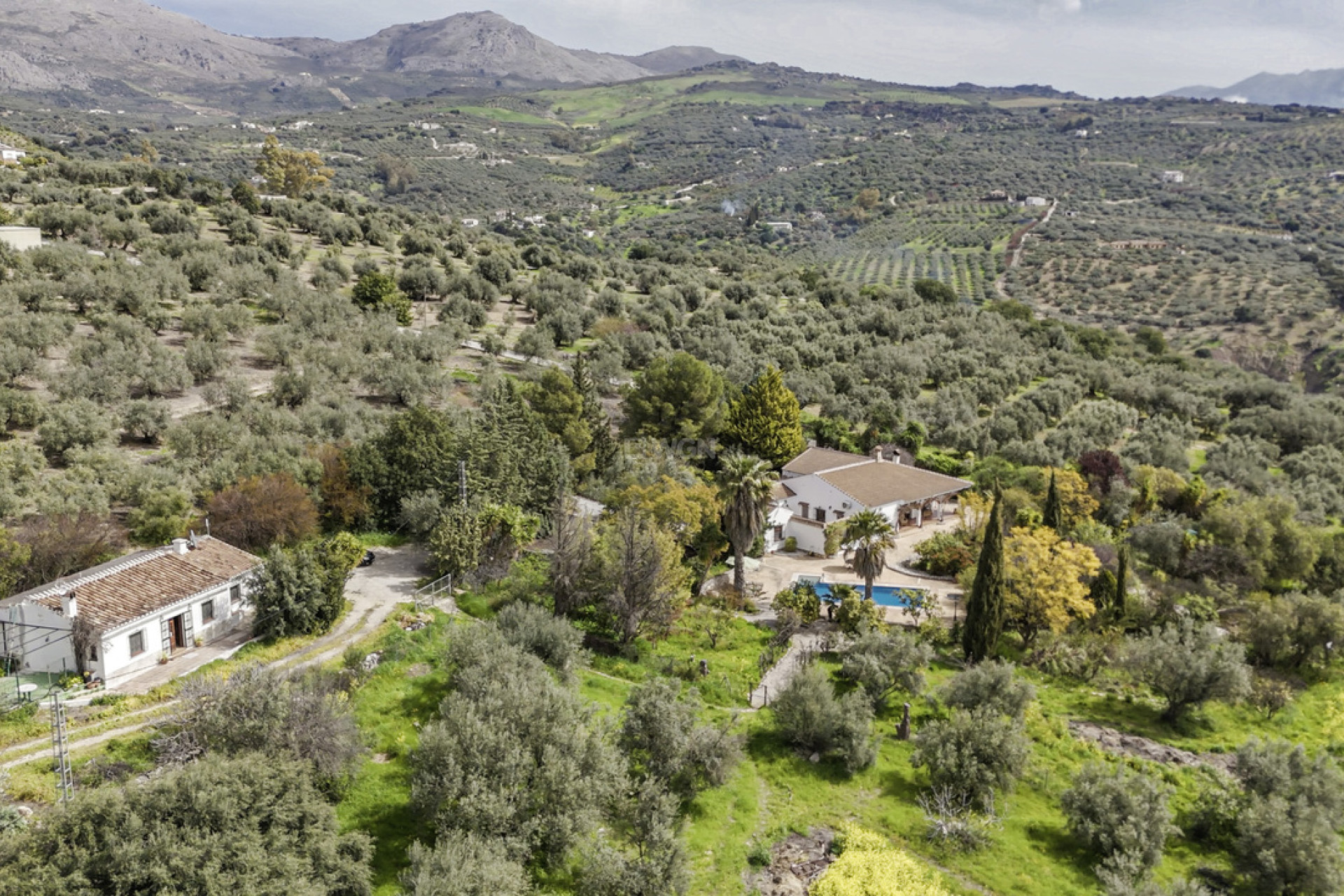 Resale - Villa - Periana - Inland