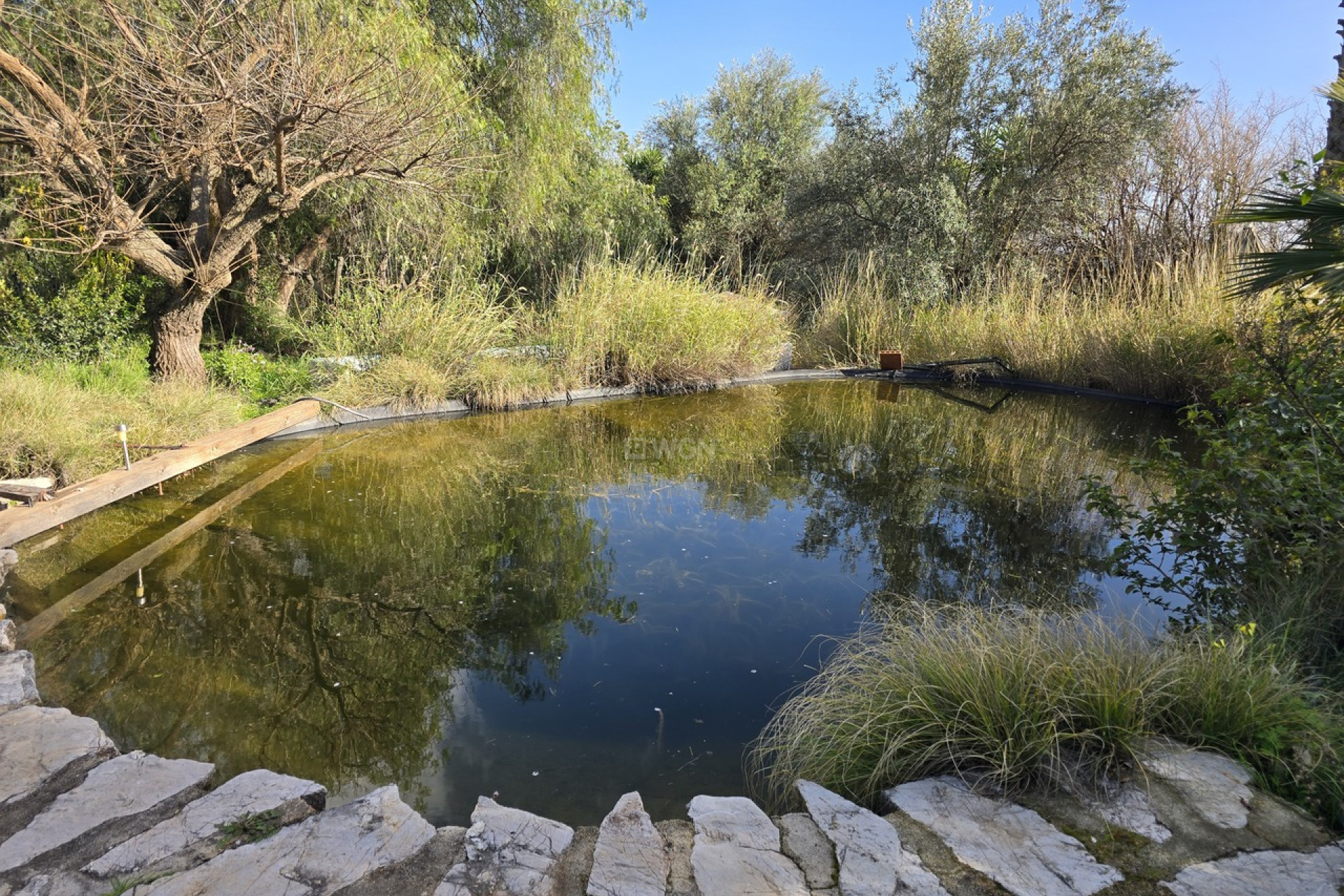 Resale - Villa - Periana - Inland