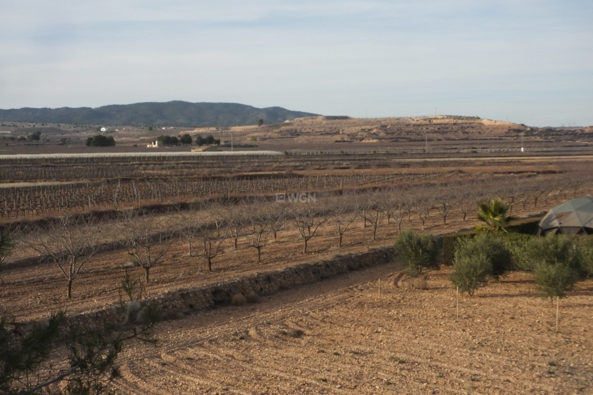 Resale - Villa - Pinoso - Inland