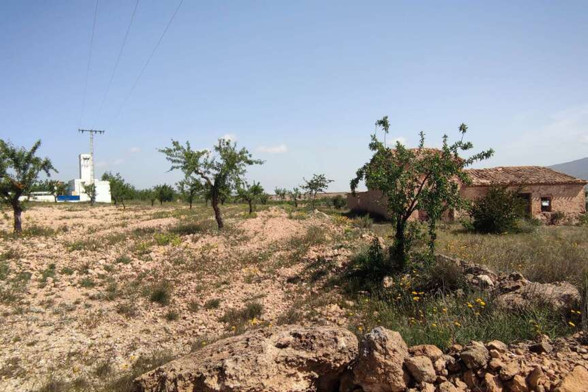 Resale - Villa - Pinoso - Inland