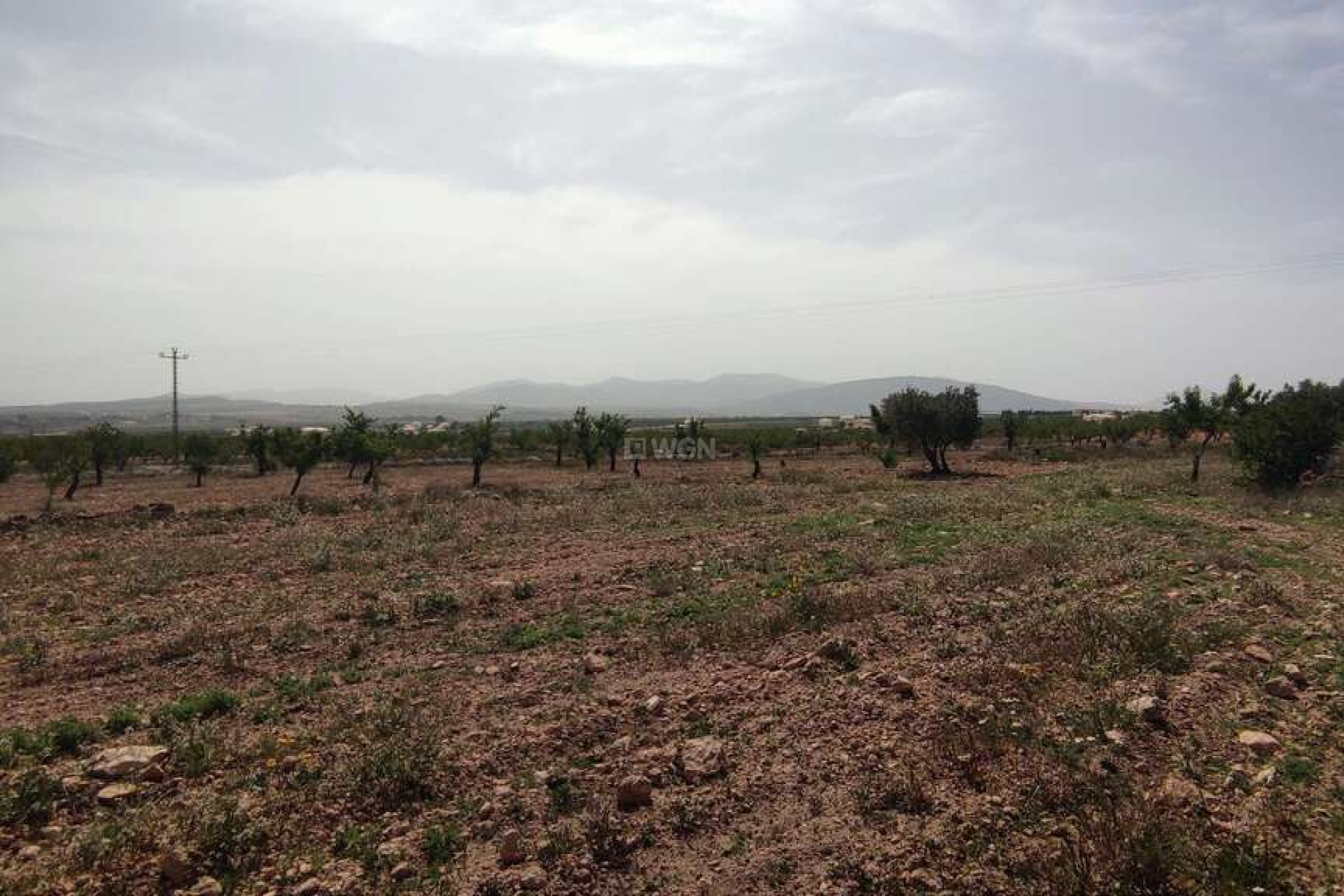 Resale - Villa - Pinoso - Inland