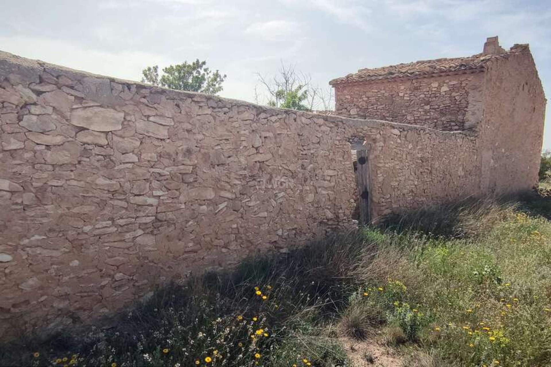 Resale - Villa - Pinoso - Inland