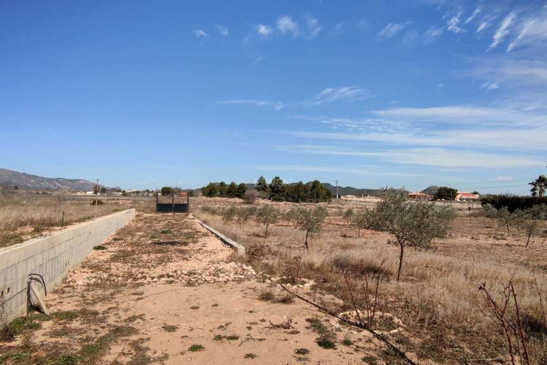 Resale - Villa - Pinoso - Inland