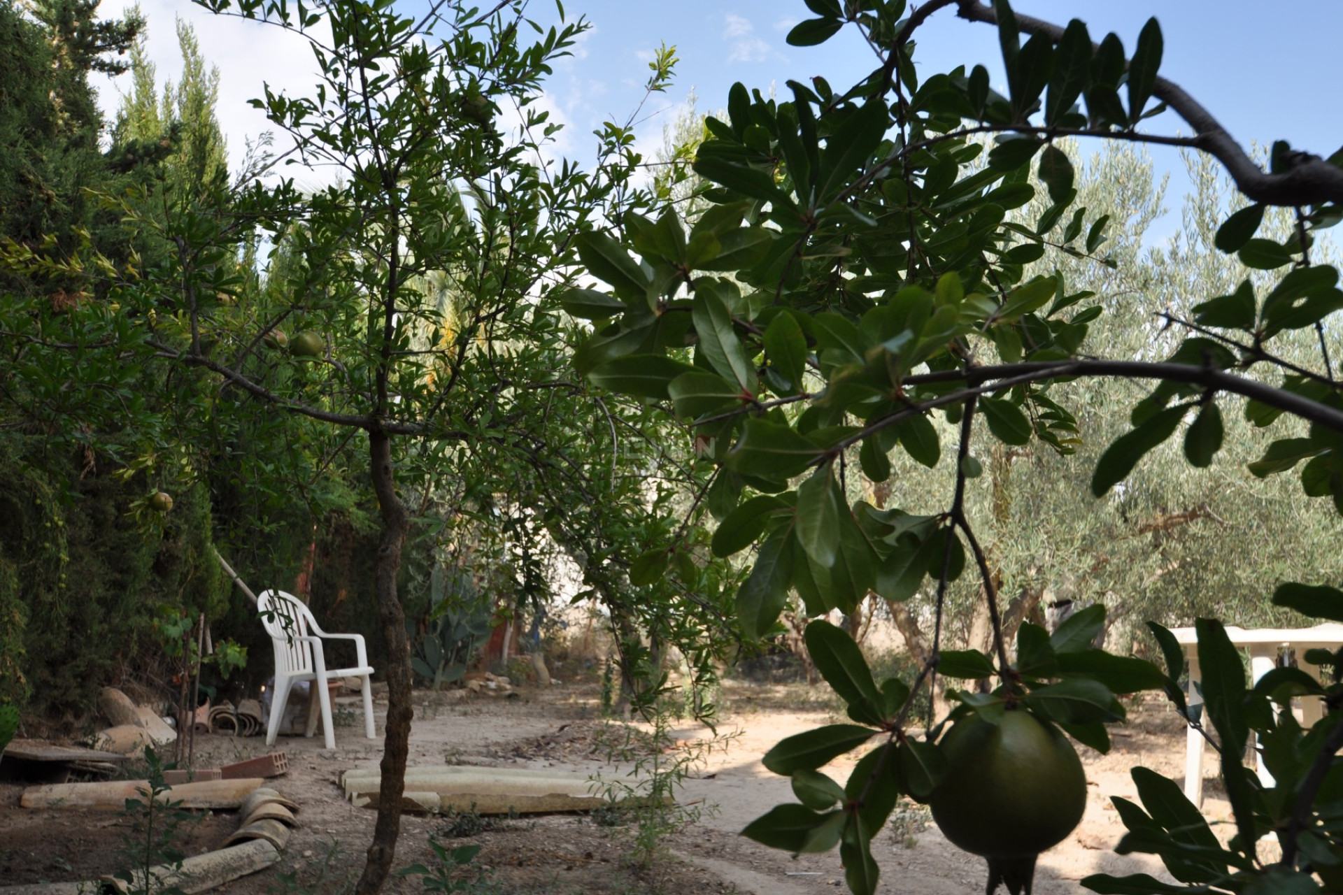 Resale - Villa - Pinoso - Inland