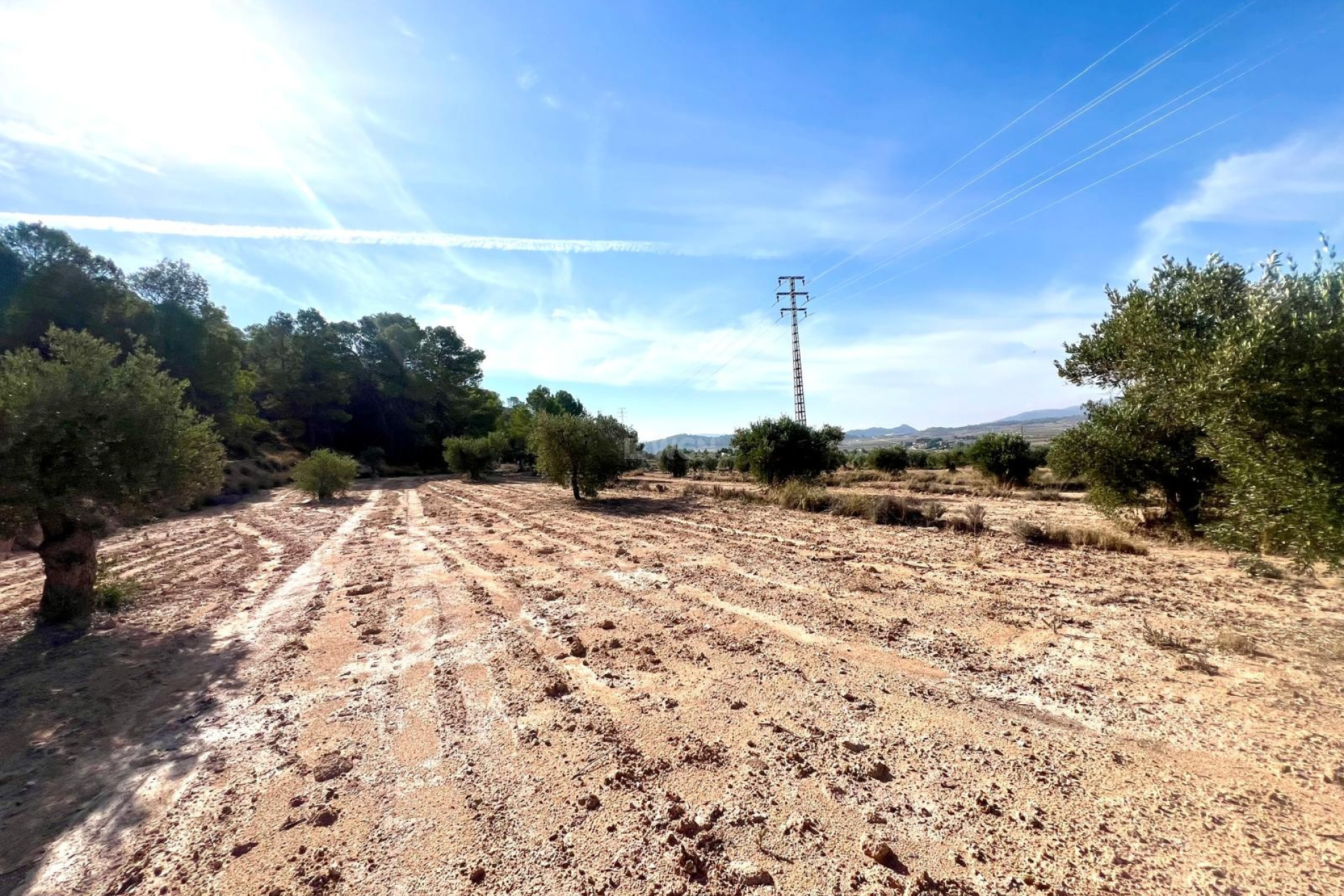 Resale - Villa - Pinoso - Inland