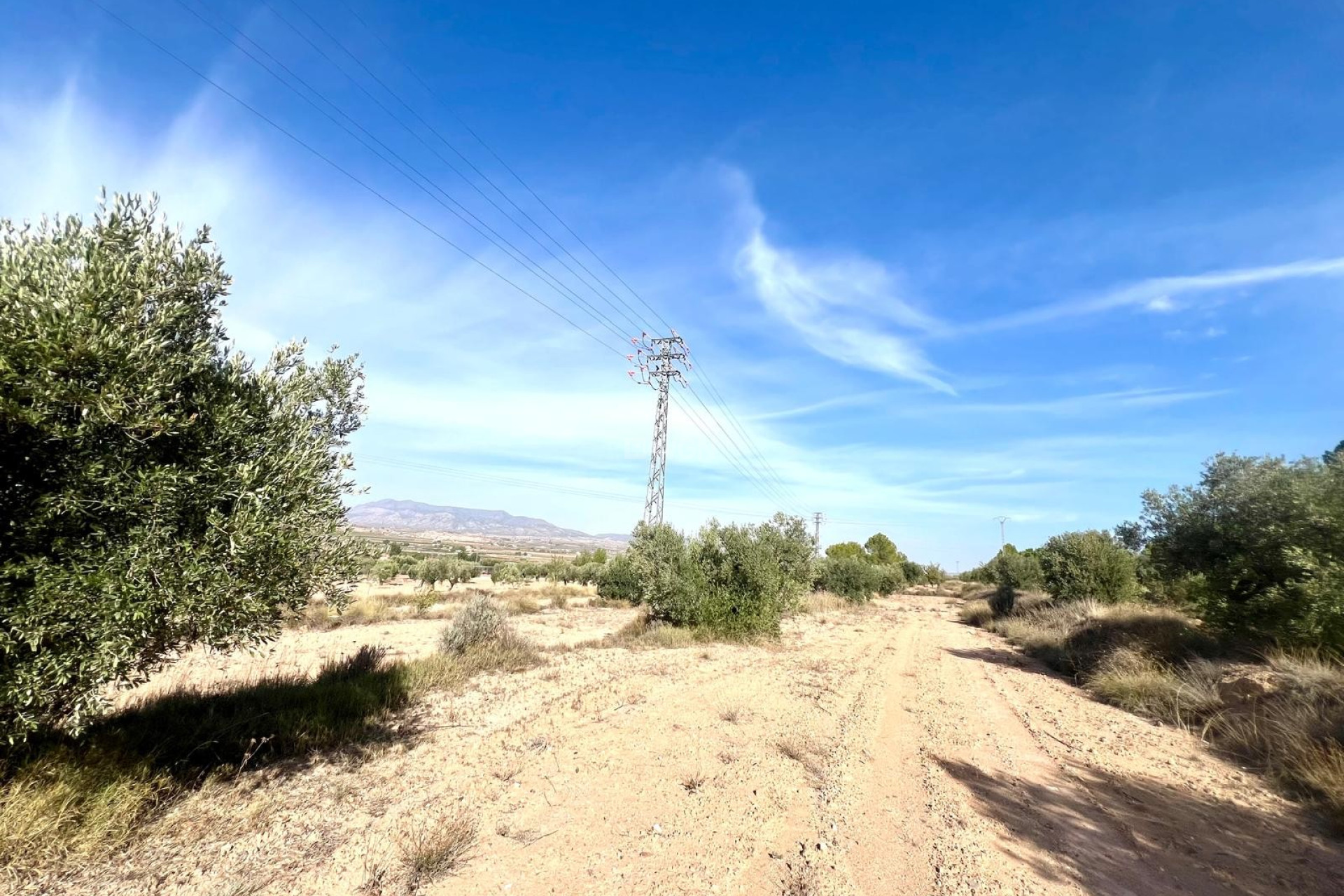 Resale - Villa - Pinoso - Inland