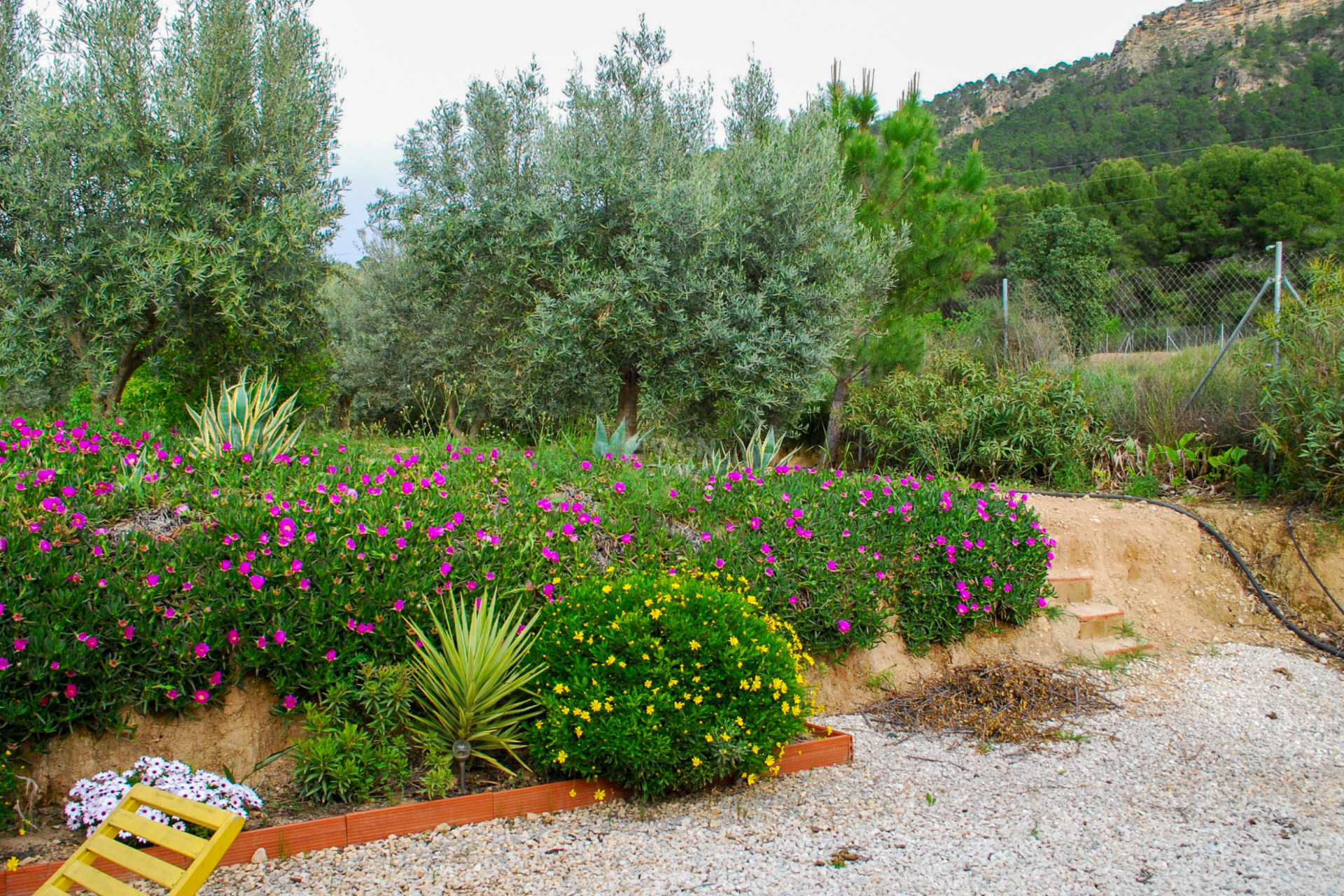 Resale - Villa - Pliego - Inland