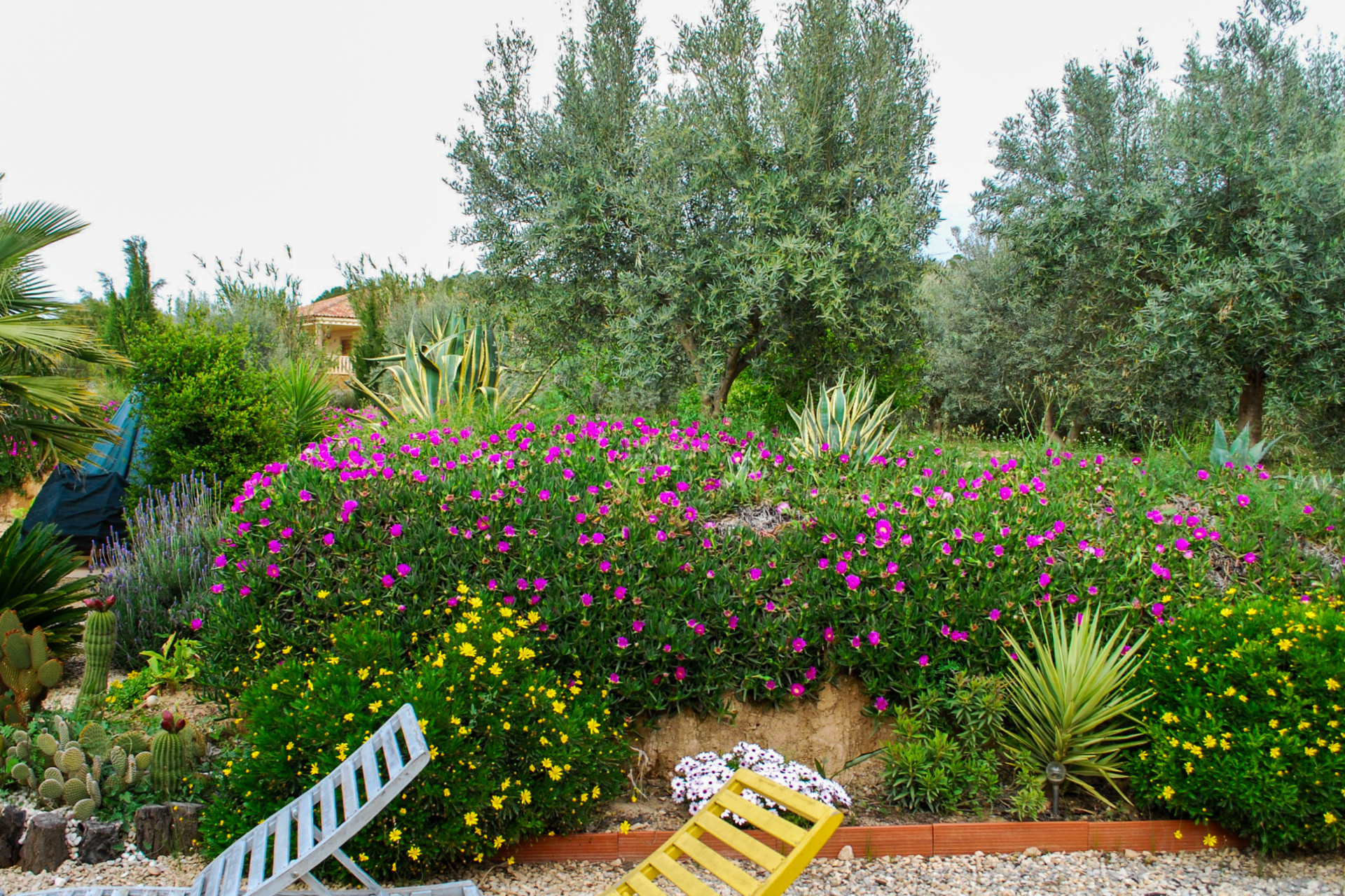 Resale - Villa - Pliego - Inland