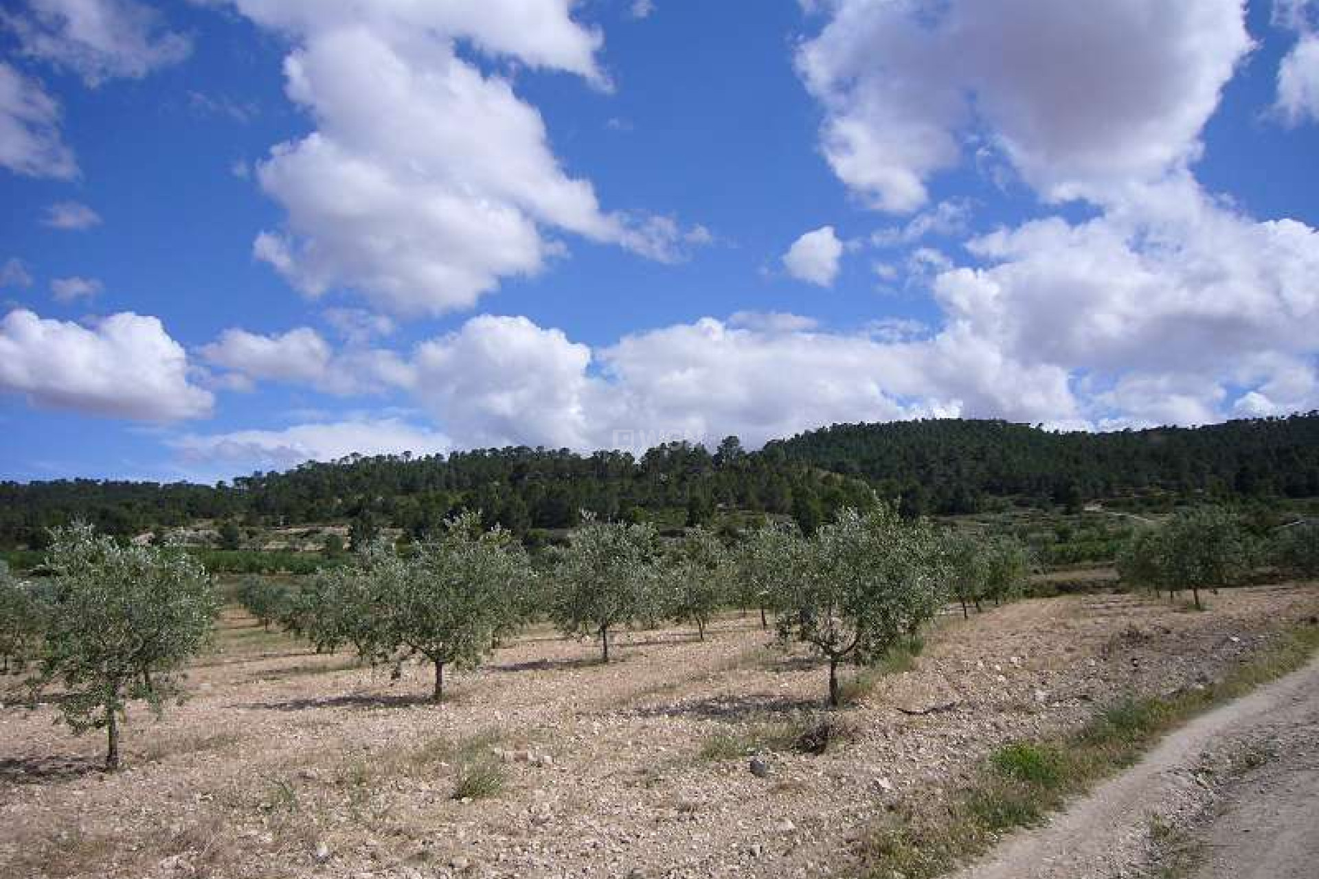 Resale - Villa - Salinas - Inland