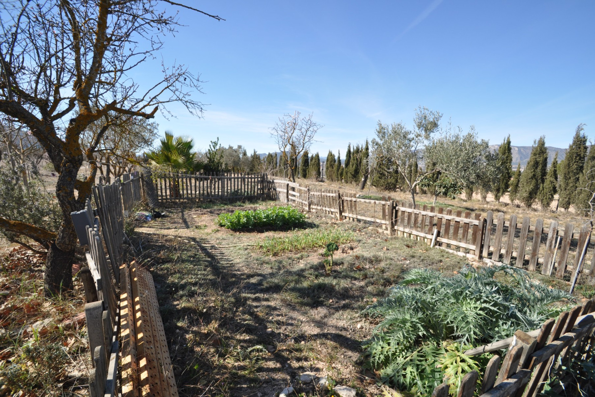 Resale - Villa - Salinas - Inland