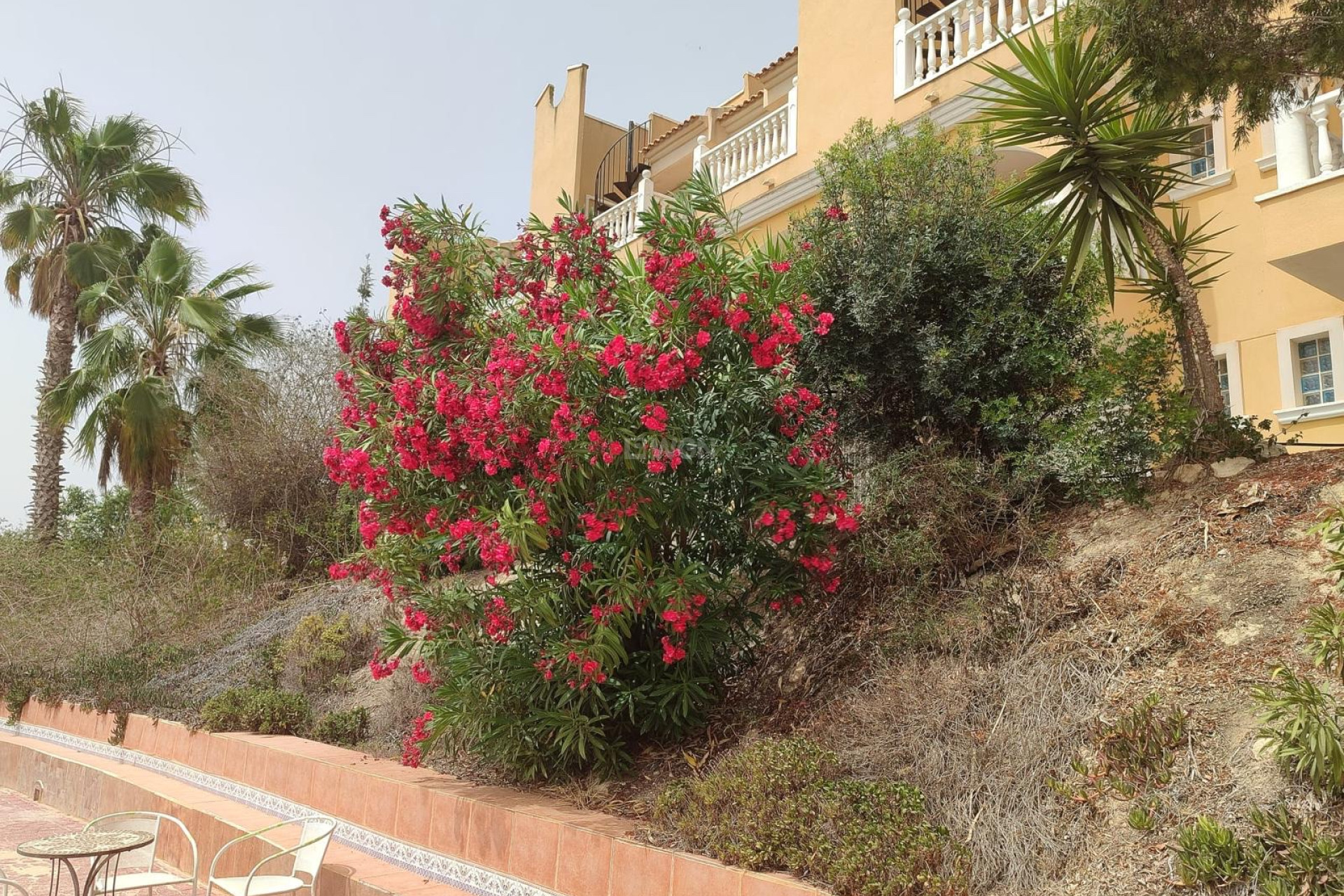 Resale - Villa - San Fulgencio - Costa Blanca