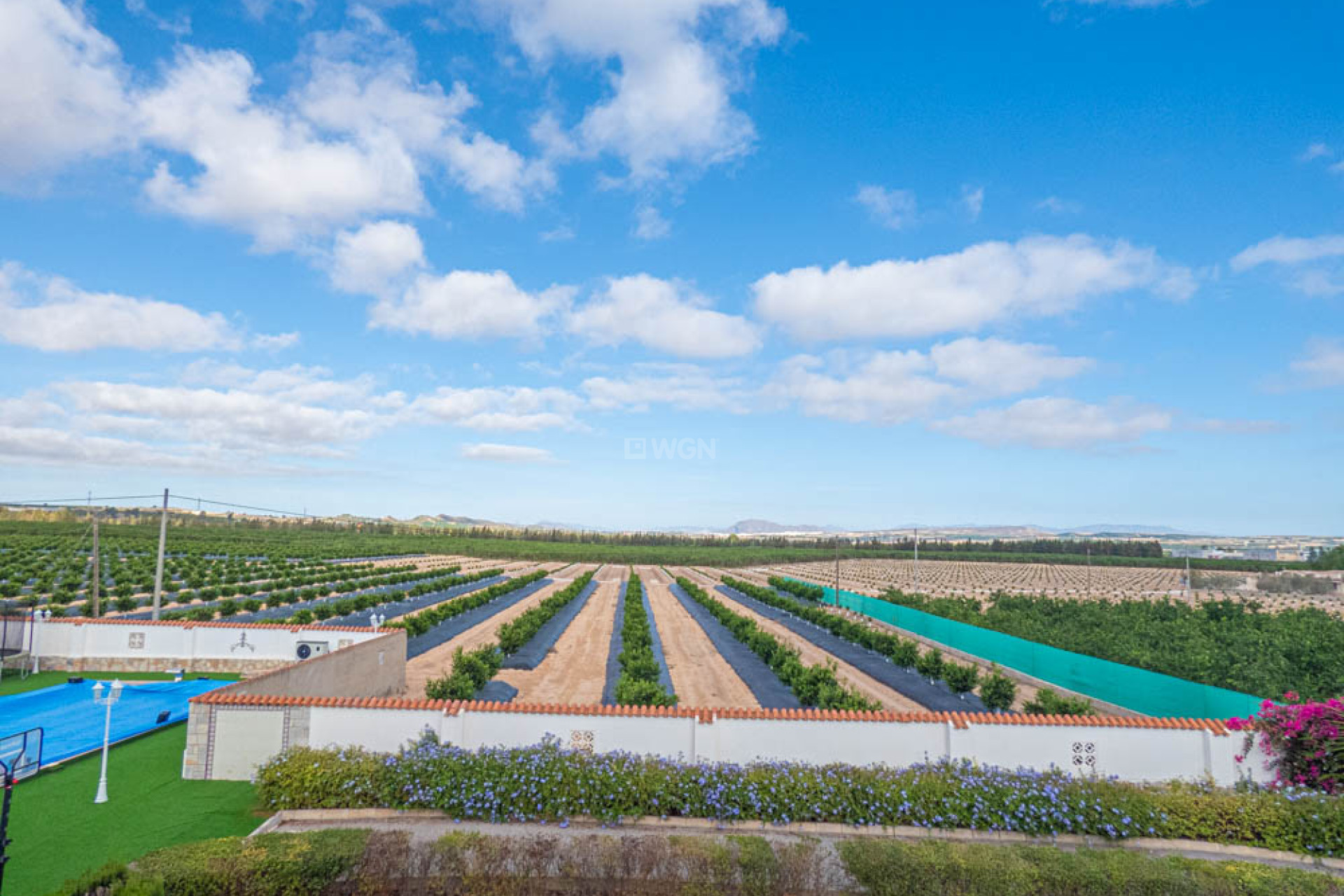 Resale - Villa - San Miguel de Salinas - Inland