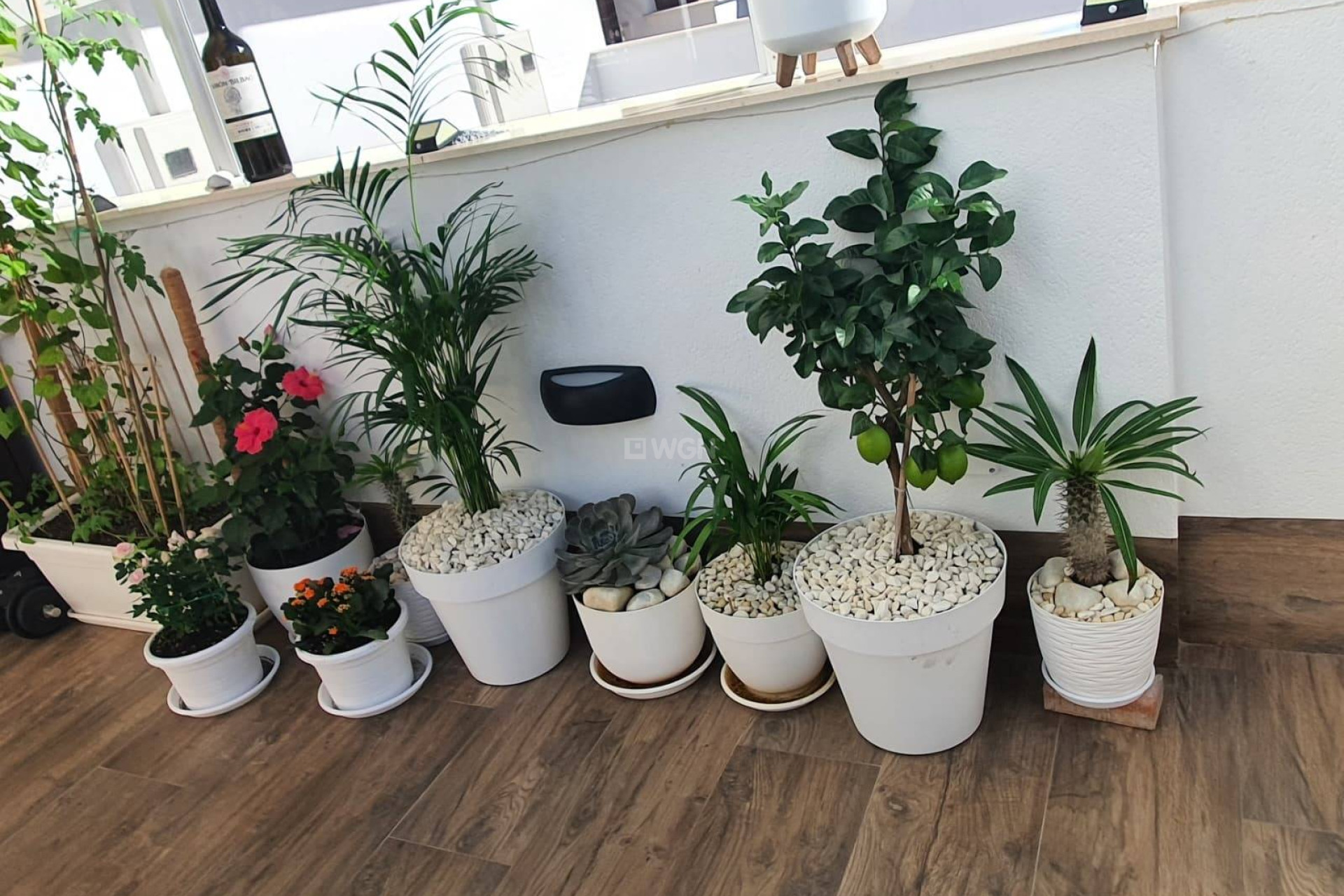 Resale - Villa - San Pedro del Pinatar - CENTRO