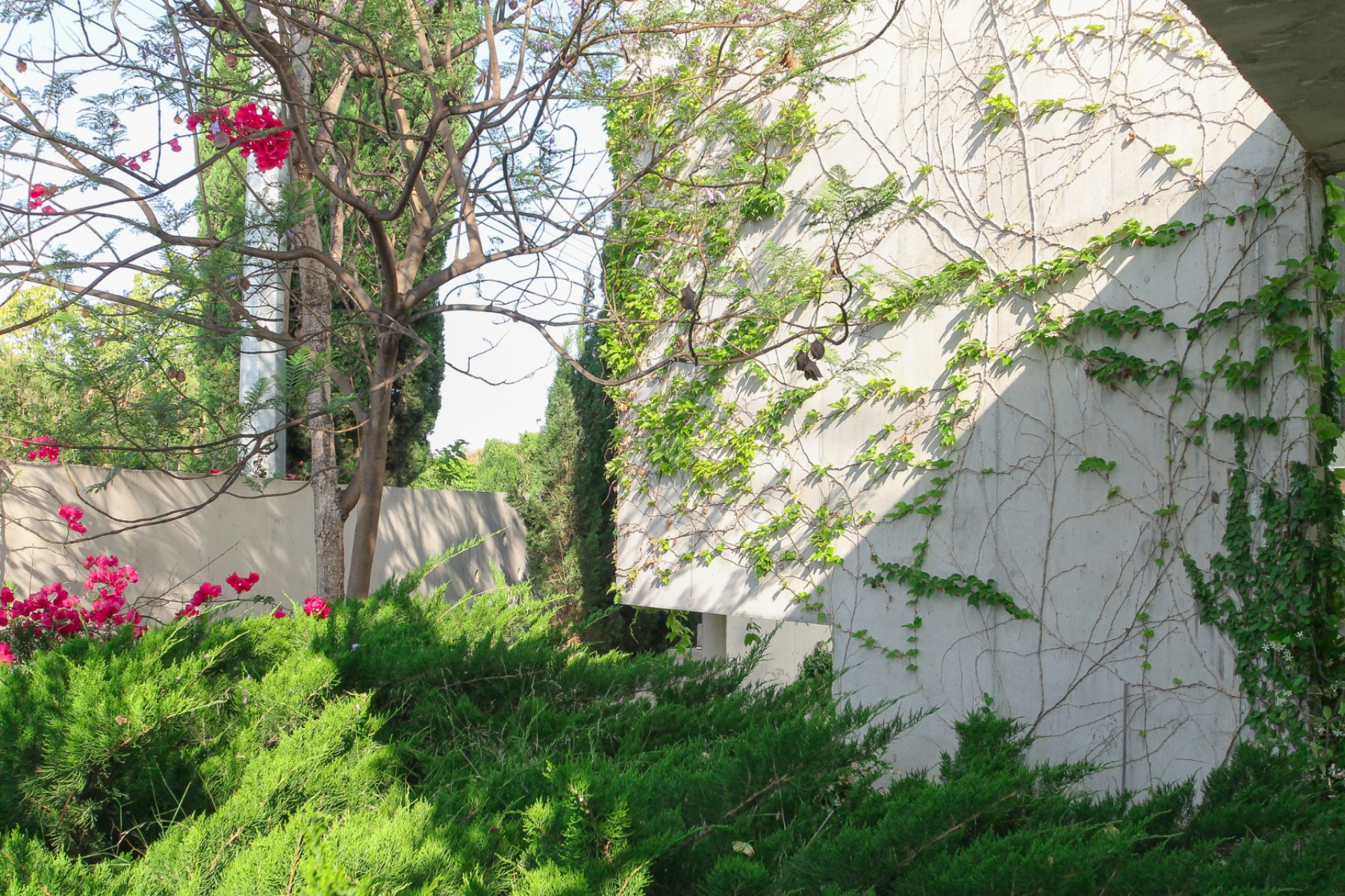 Resale - Villa - San Vicente del Raspeig - Inland