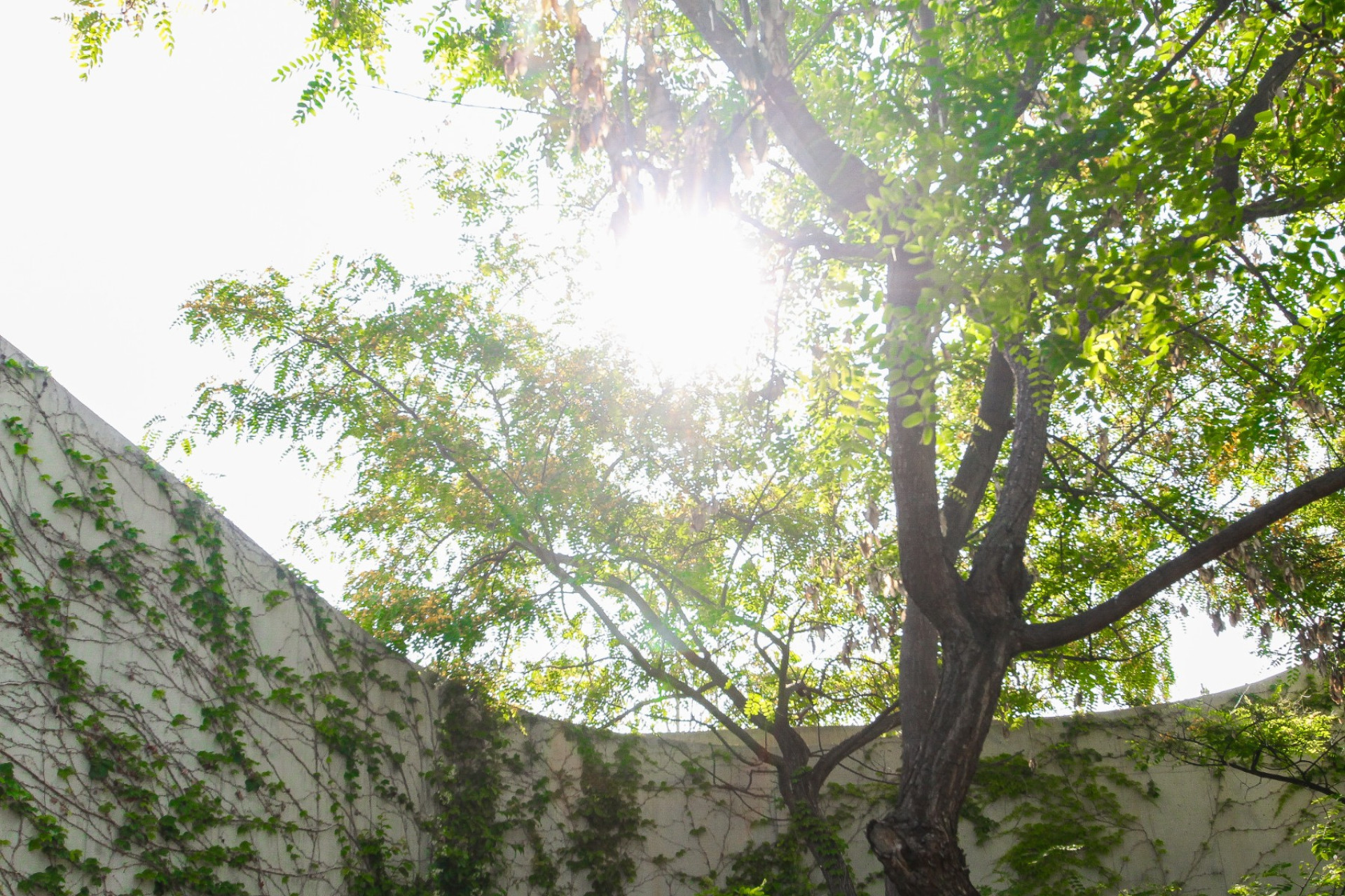 Resale - Villa - San Vicente del Raspeig - Inland