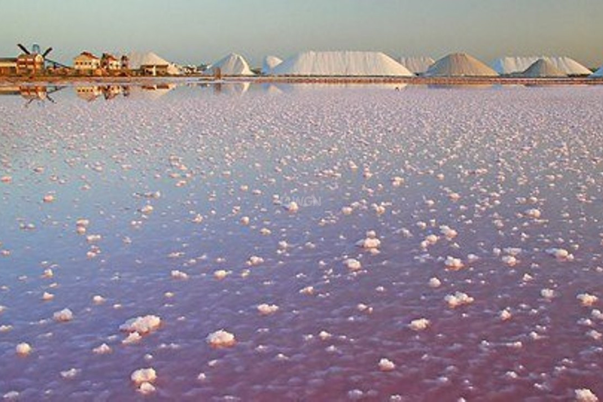 Resale - Villa - Torre de la Horadada - Costa Blanca