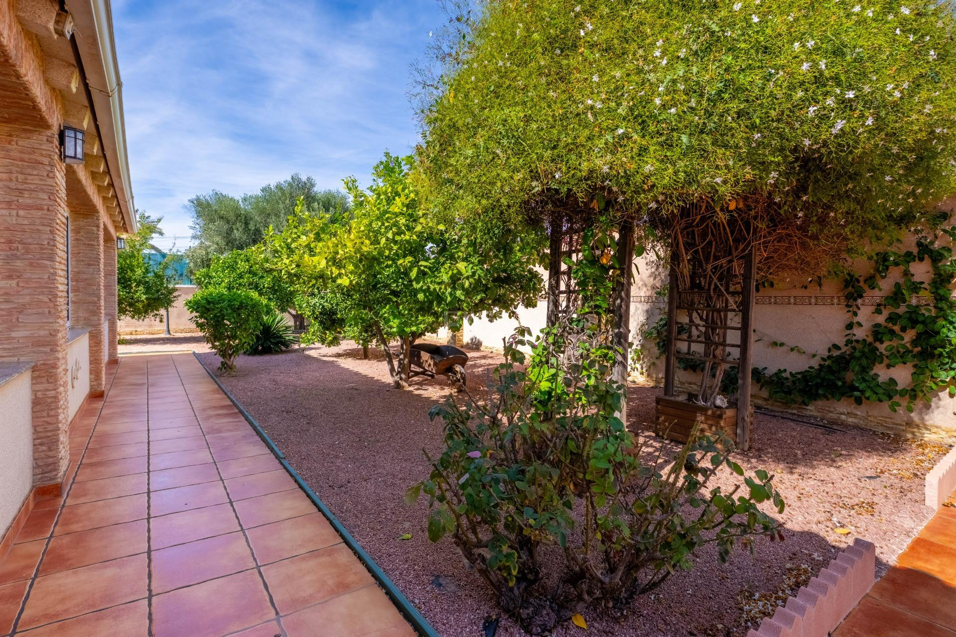 Resale - Villa - Torrevieja - El Chaparral