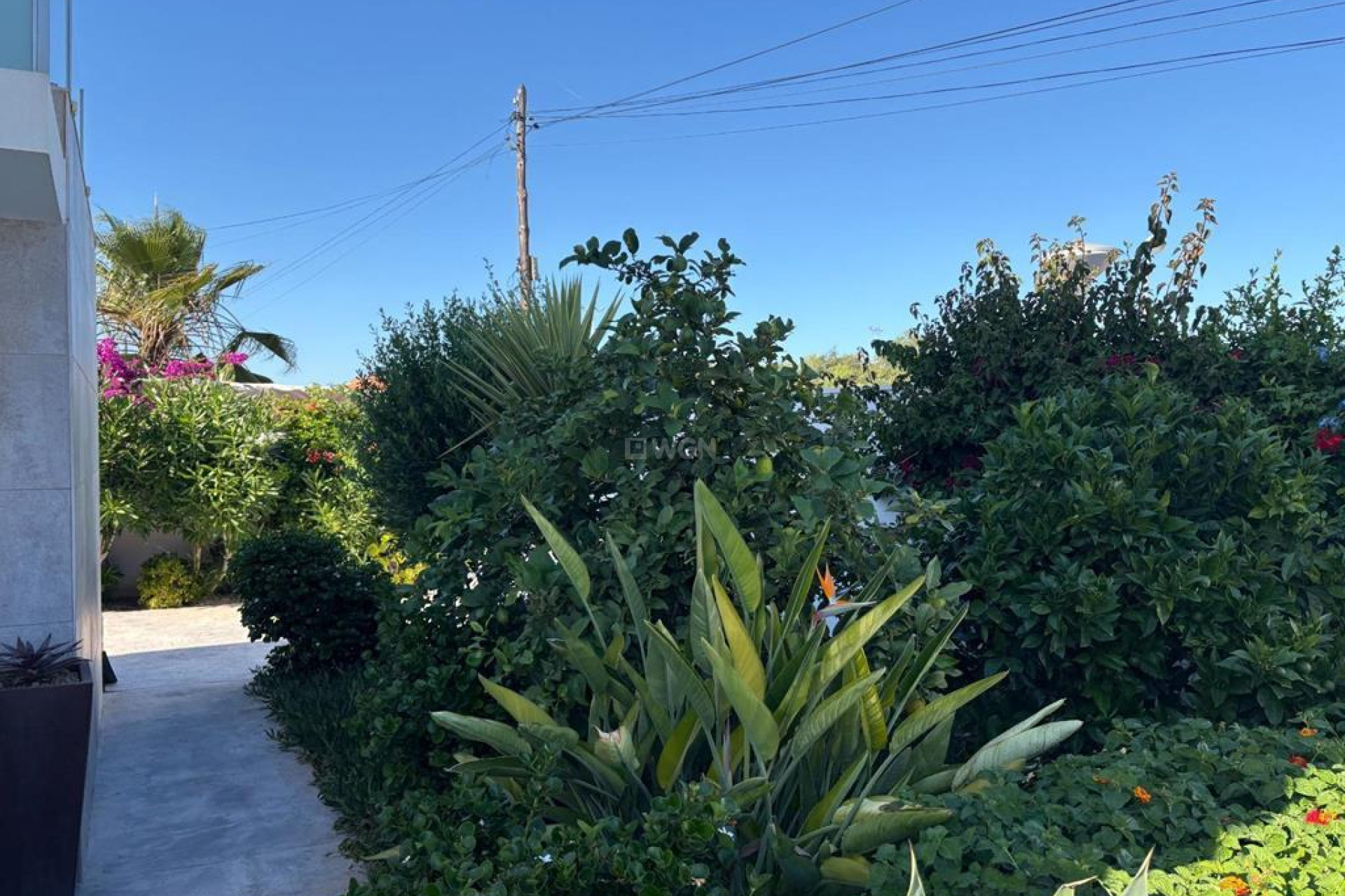 Resale - Villa - Torrevieja - Torreta Florida