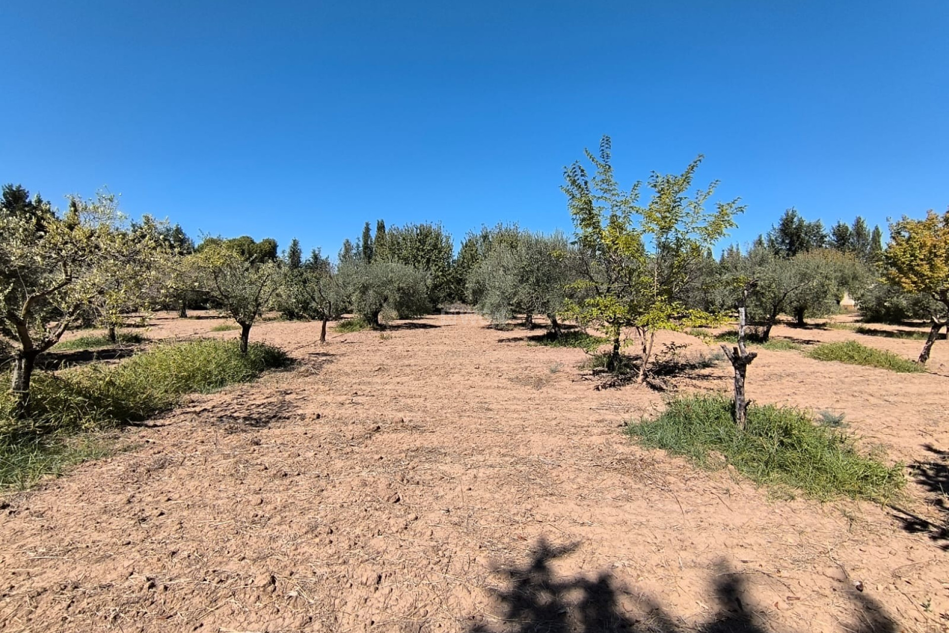 Resale - Villa - Yecla - Inland