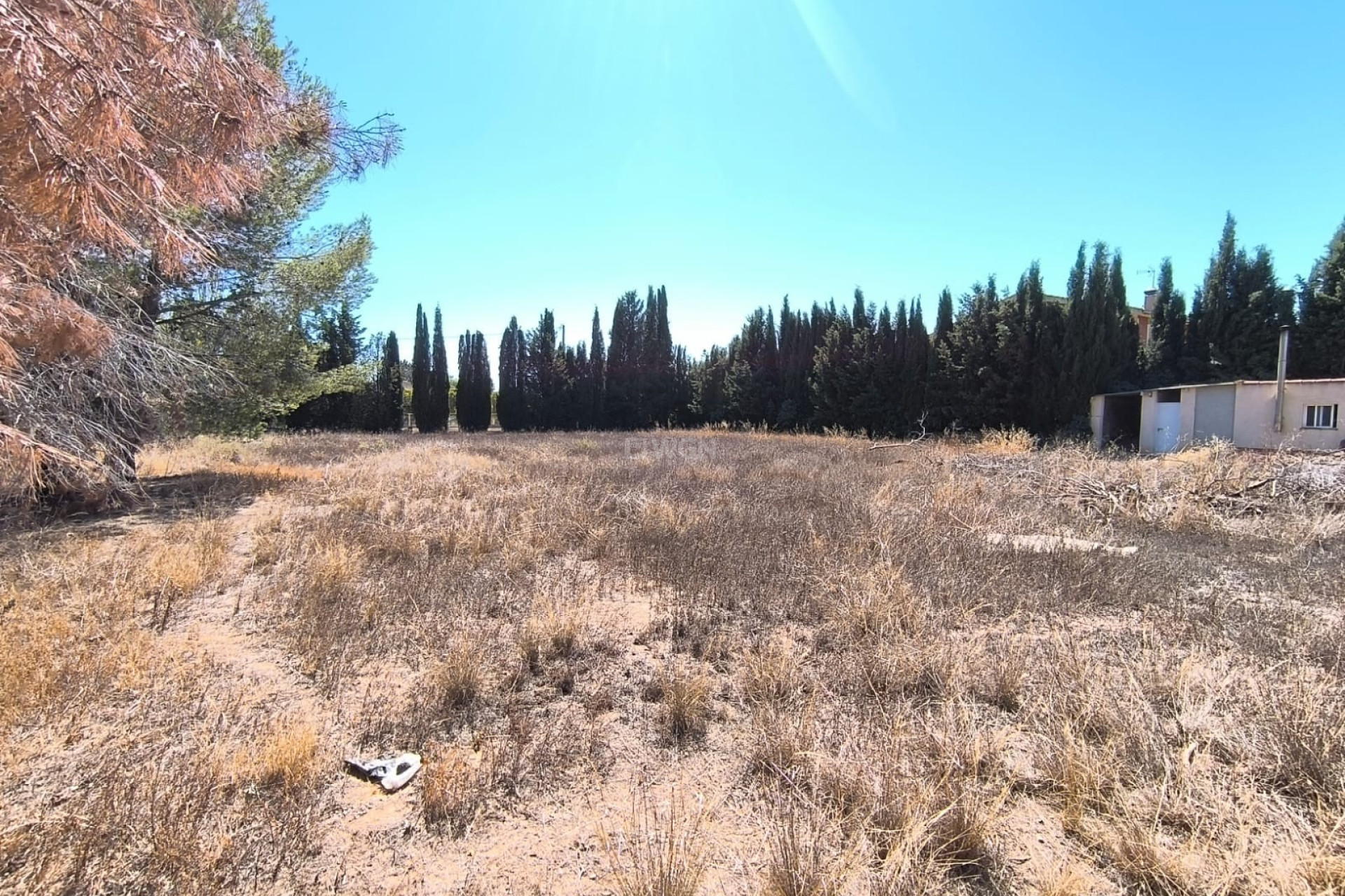 Resale - Villa - Yecla - Inland