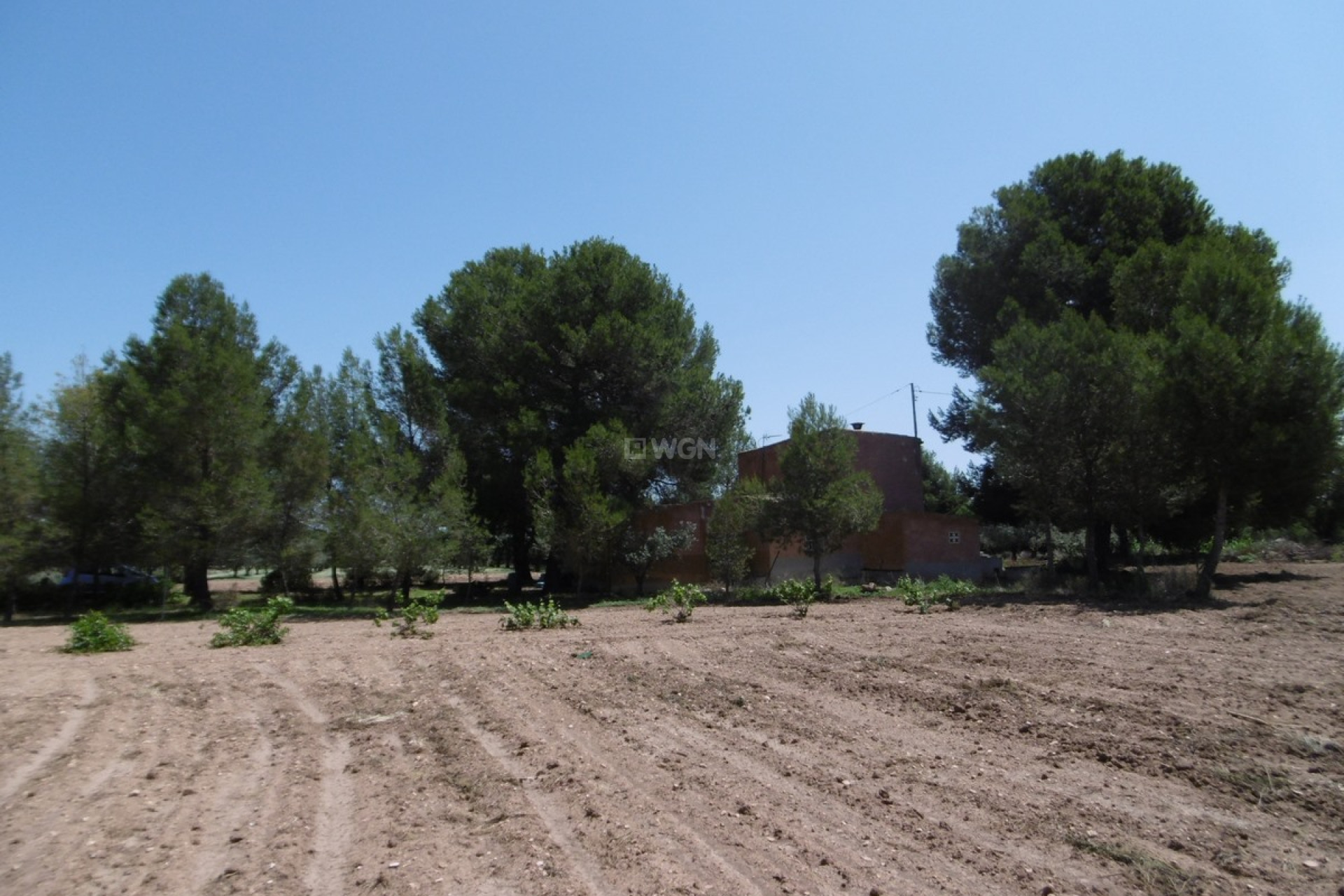 Resale - Villa - Yecla - Inland