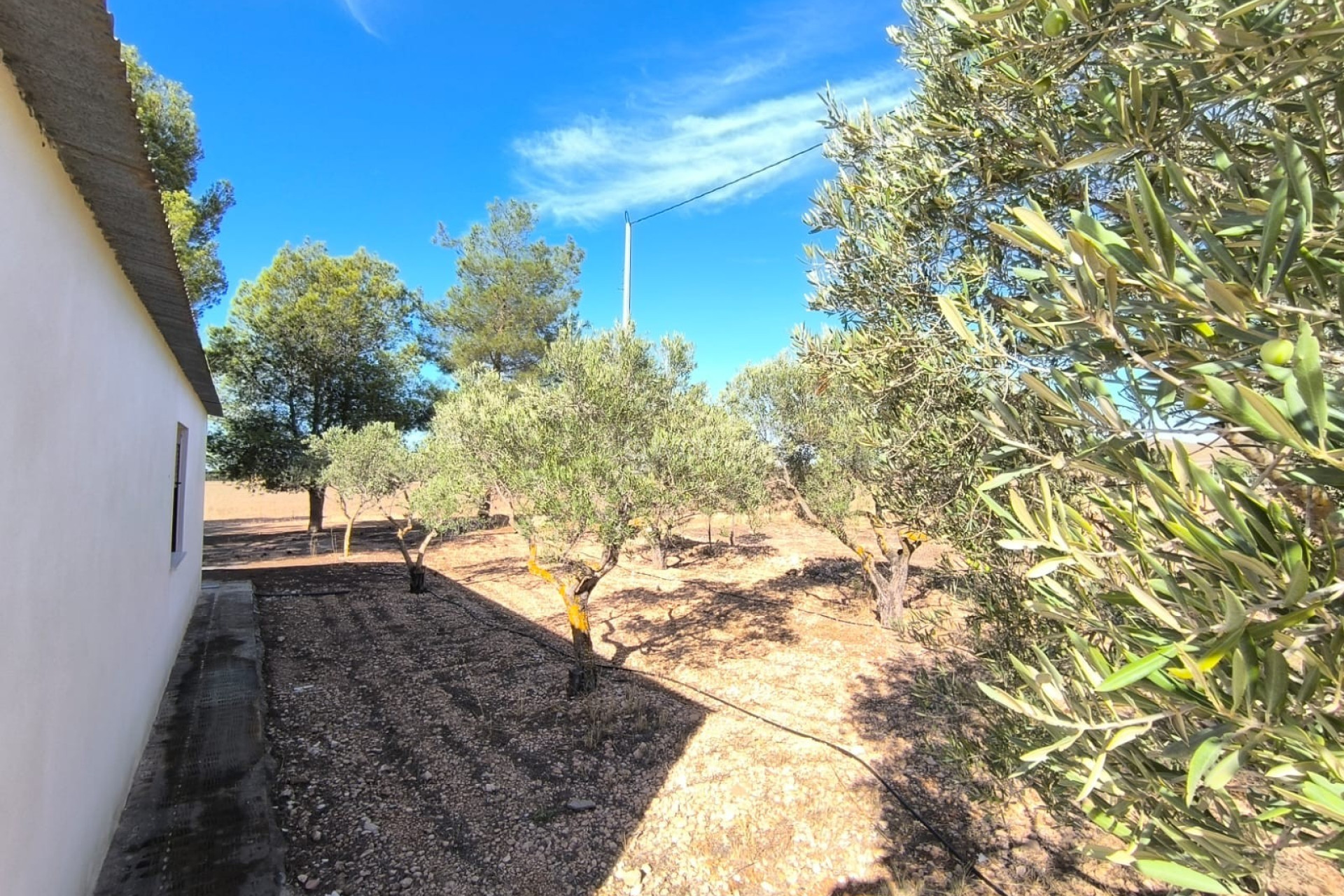 Resale - Villa - Yecla - Inland