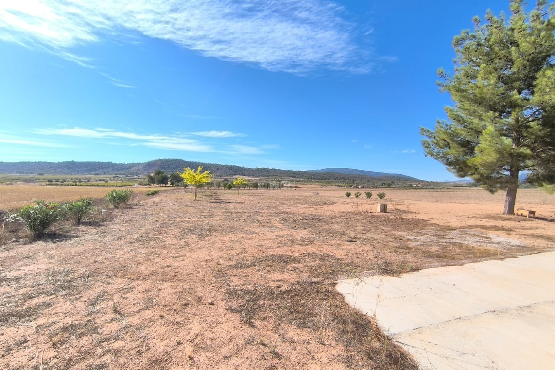 Resale - Villa - Yecla - Inland