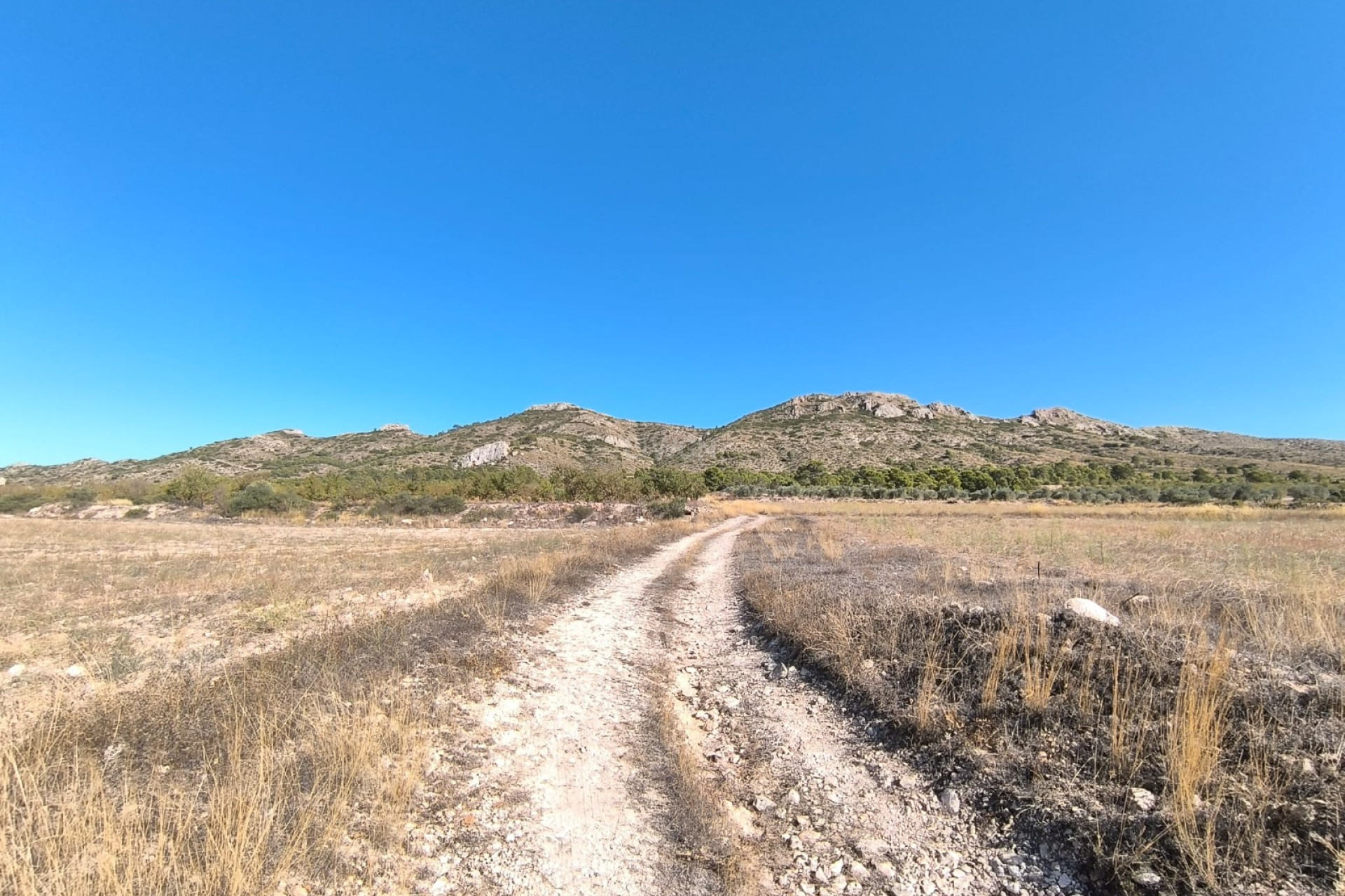 Resale - Villa - Yecla - Inland